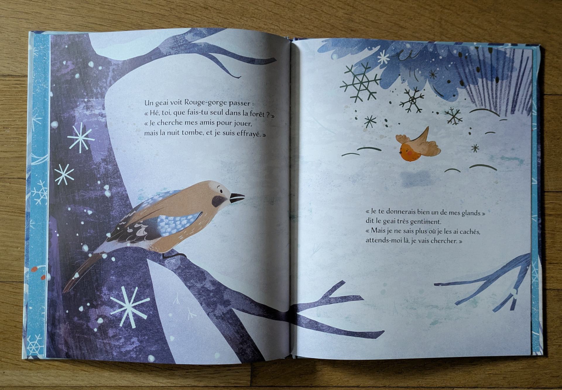 Des illustrations magnifiques