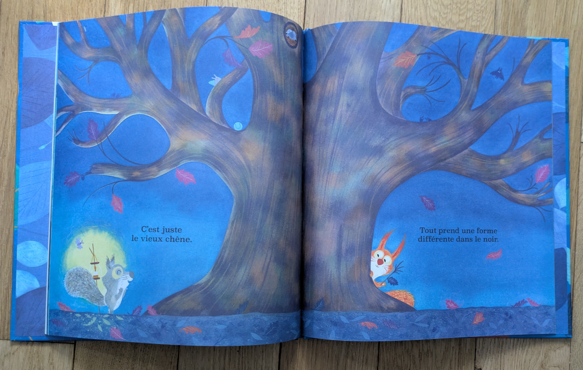 Des illustrations magnifiques