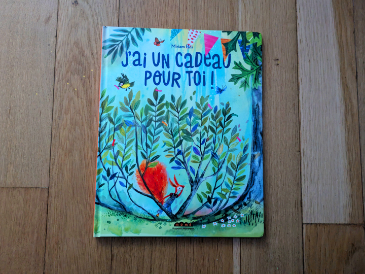 J'ai un cadeau pour toi de Miriam Bos.