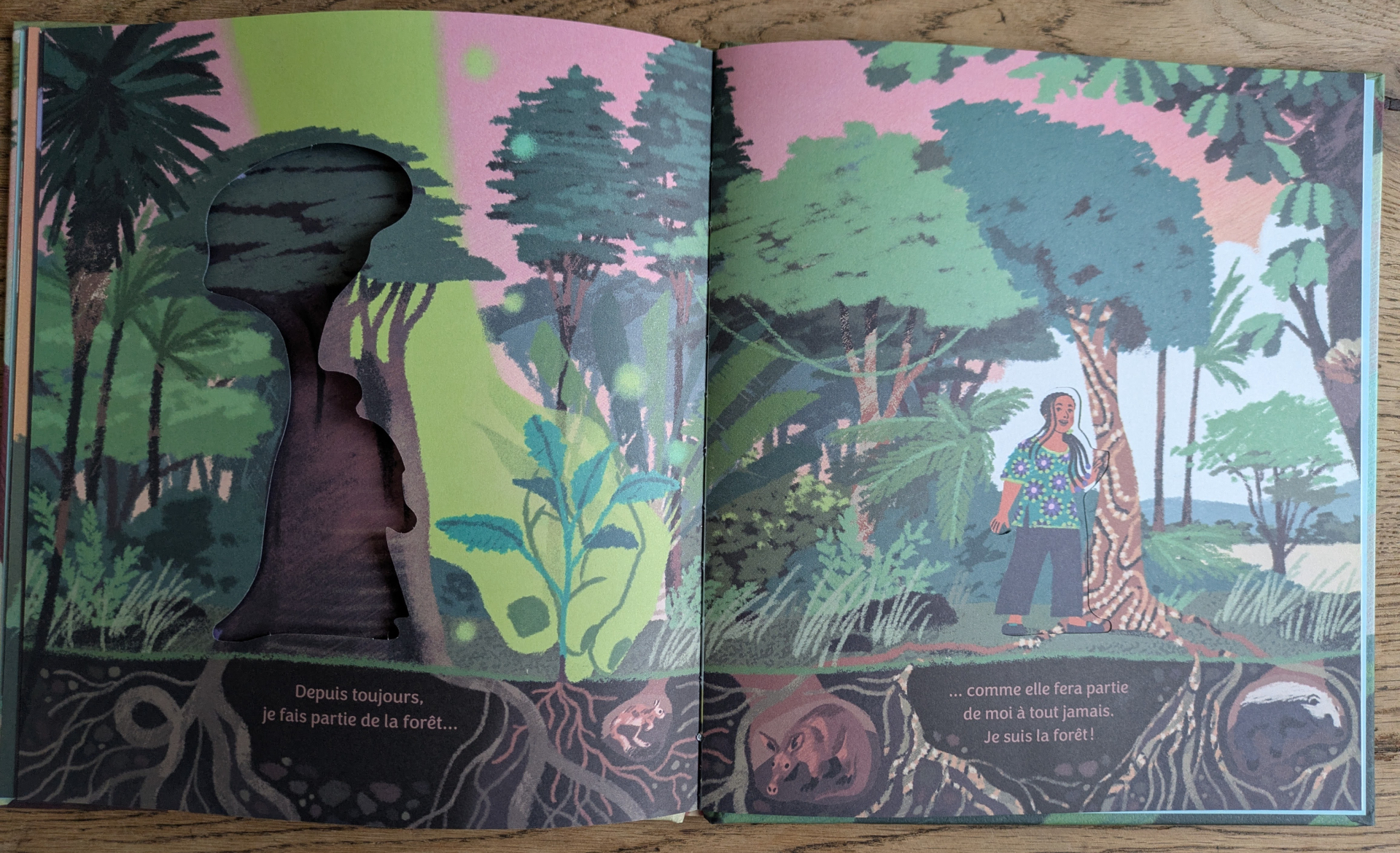 De très belles illustrations
