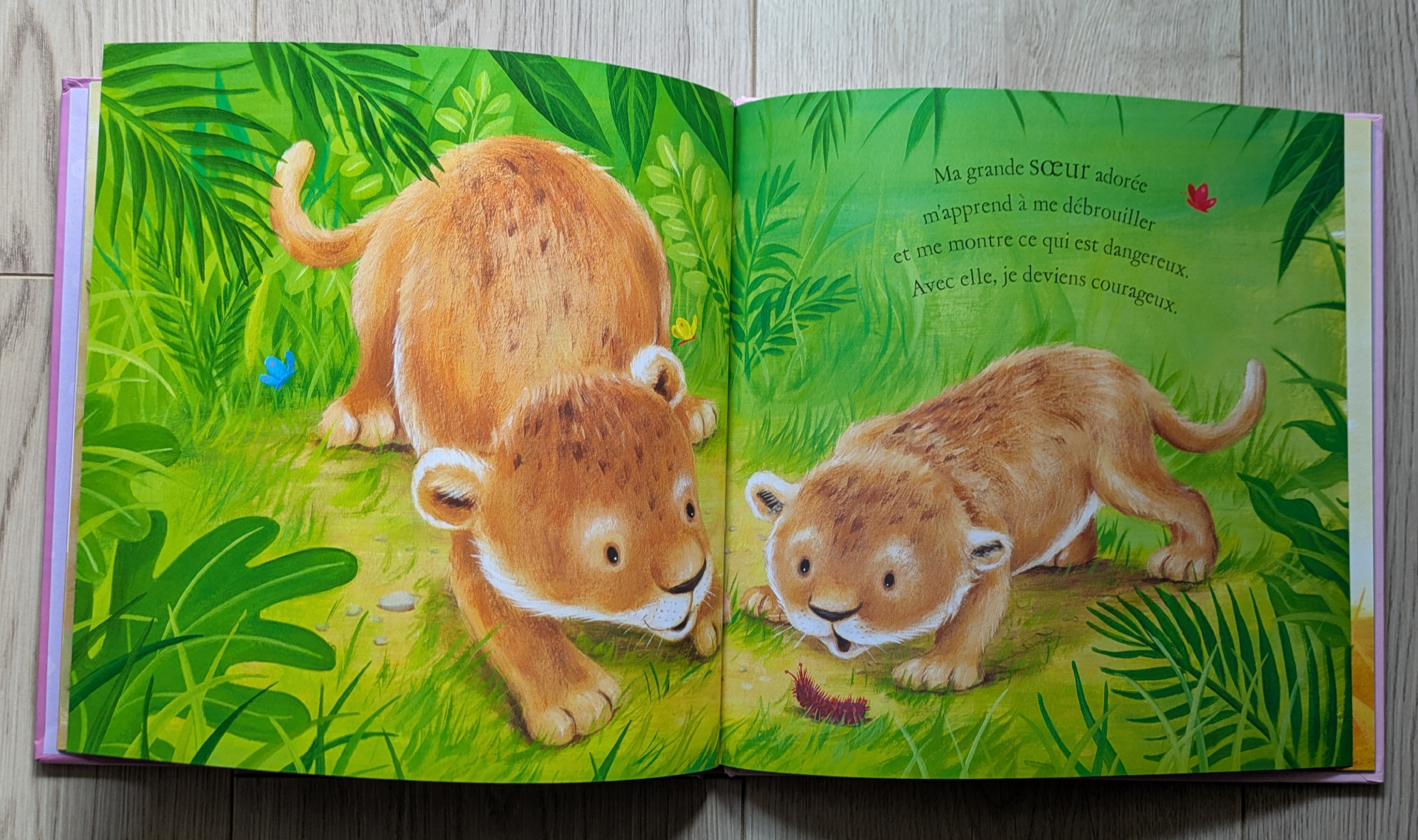 Des illustrations magnifiques