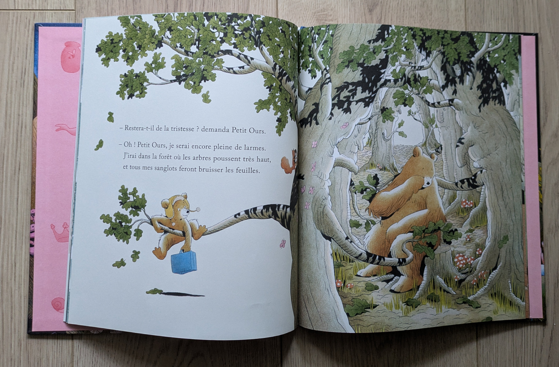 Des illustrations magnifiques