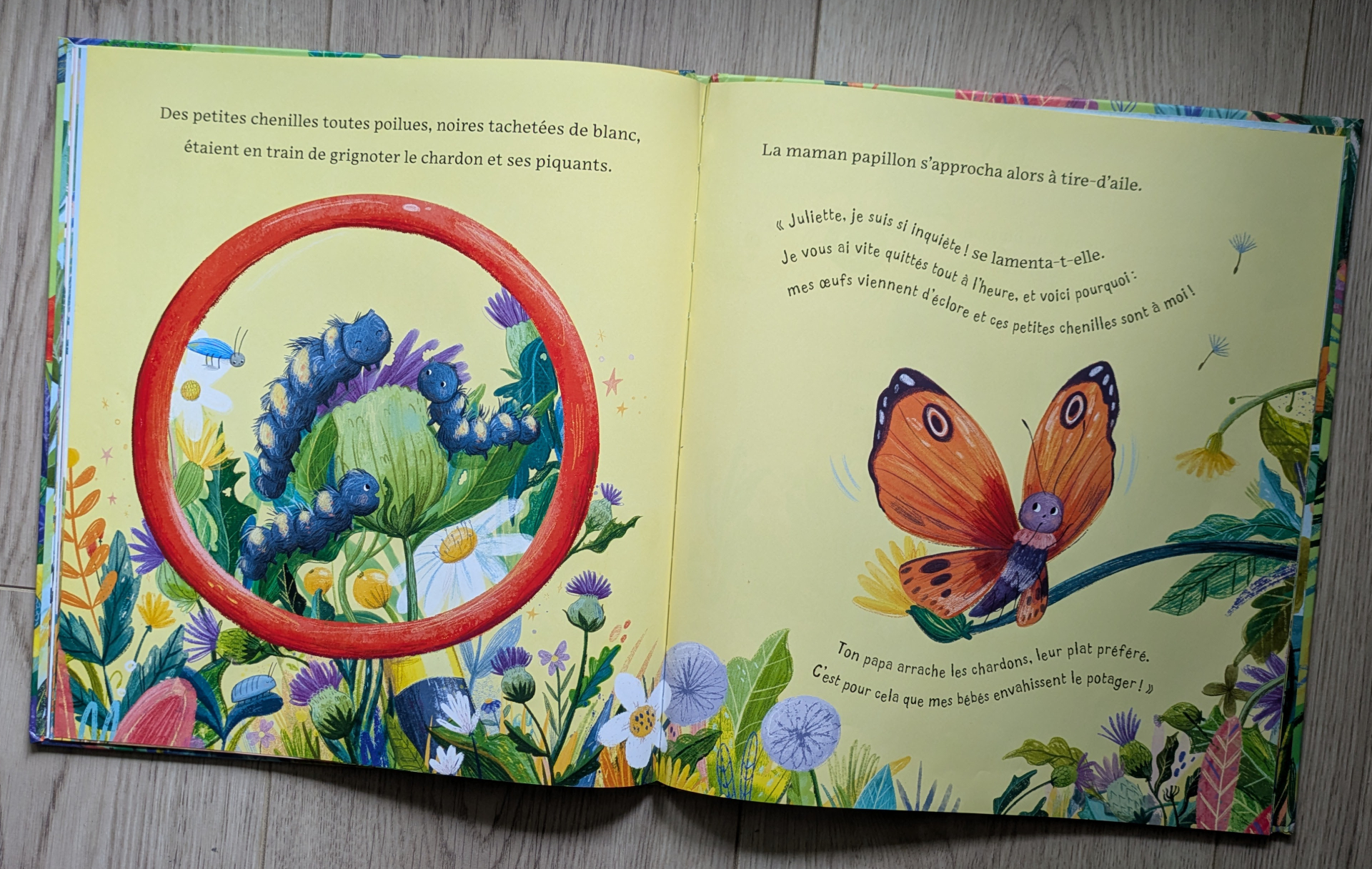 Des illustrations magnifiques