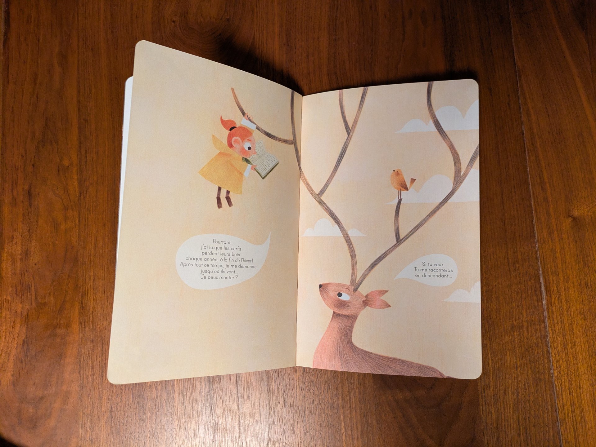 De très belles illustrations