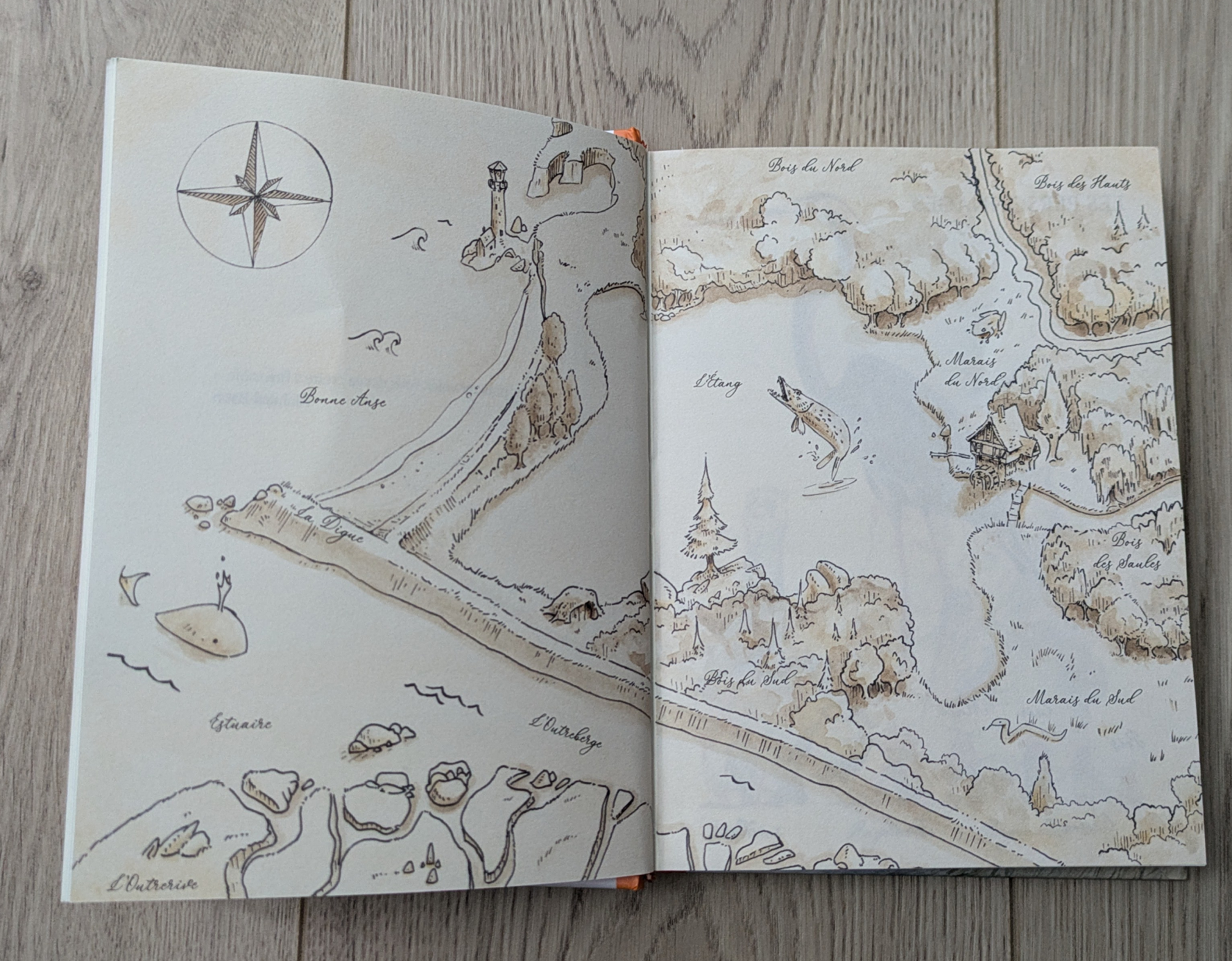 Des illustrations magnifiques