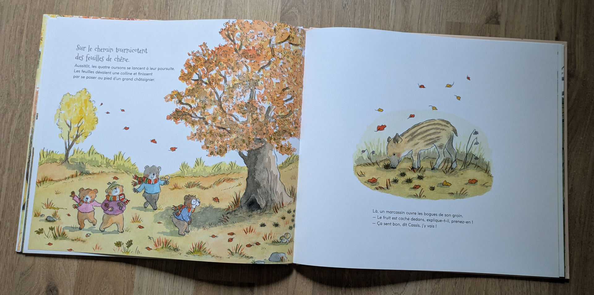 Des illustrations magnifiques