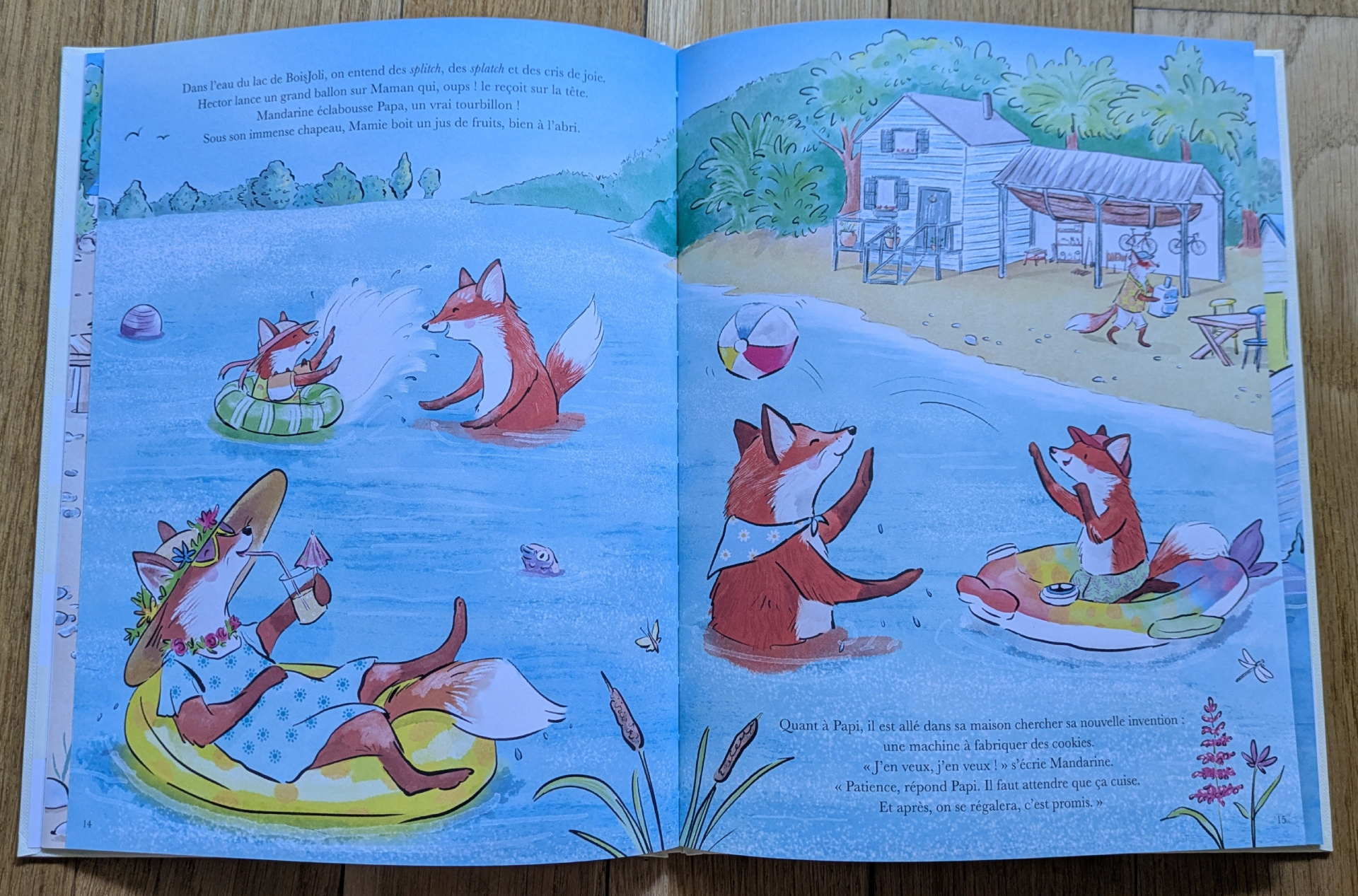 Des illustrations magnifiques
