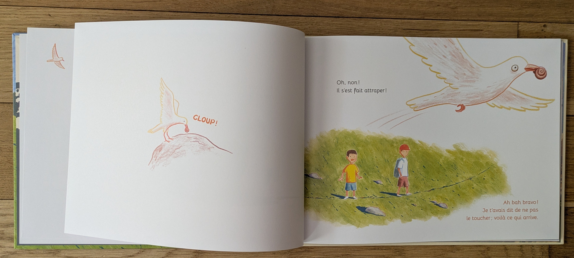 Des illustrations magnifiques