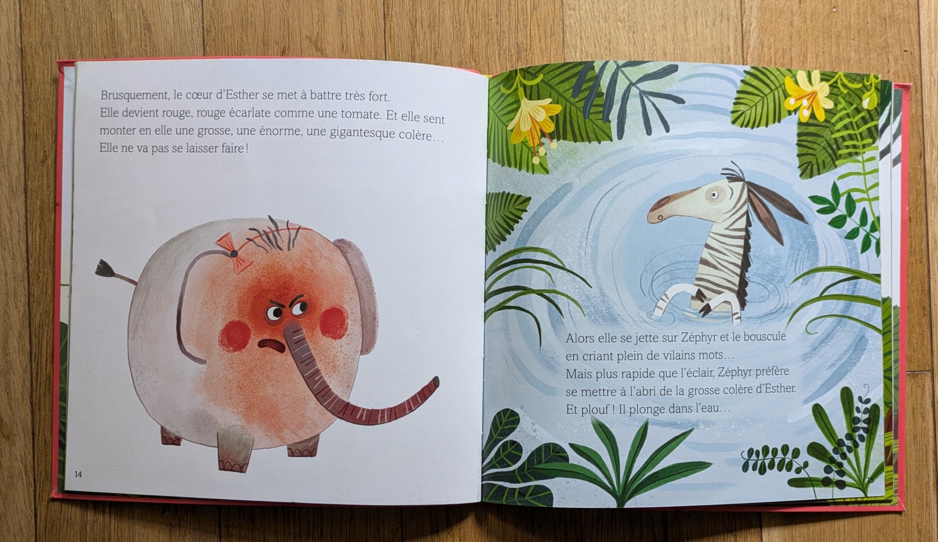 De belles illustrations