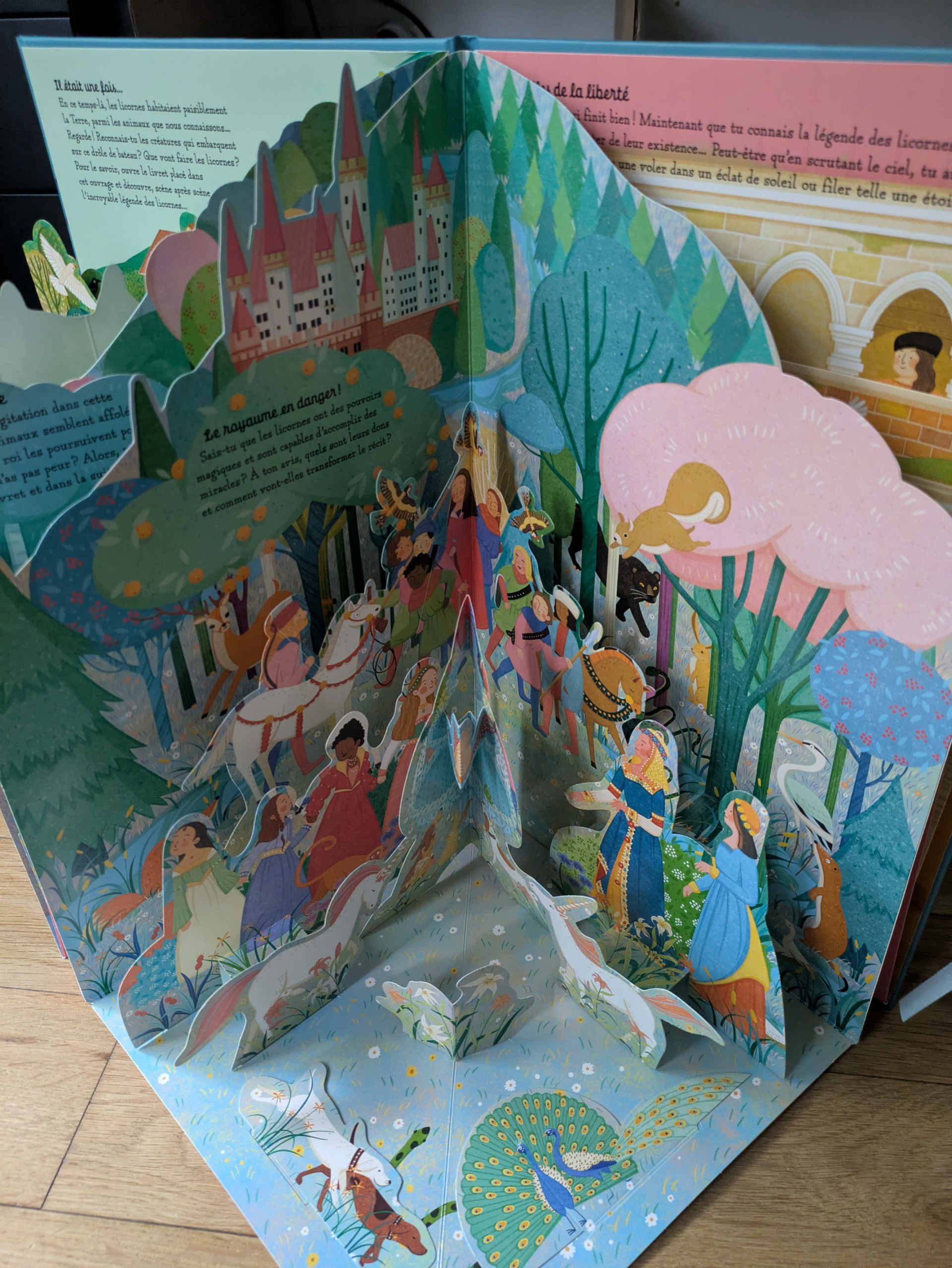 Un pop up magnifique