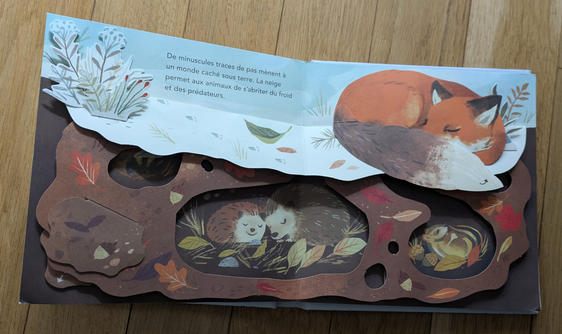 Des illustrations magnifiques