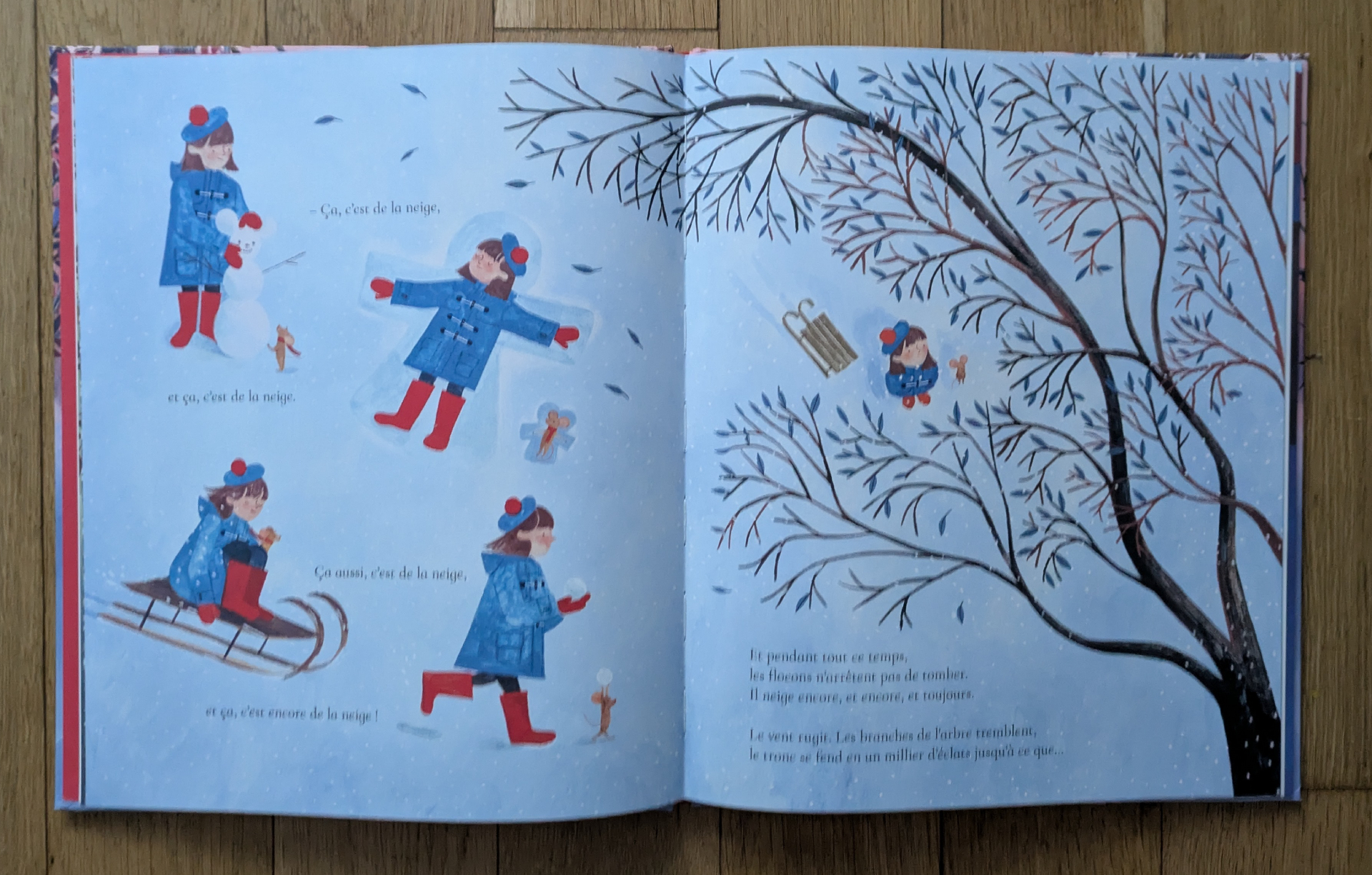 Des illustrations magnifiques