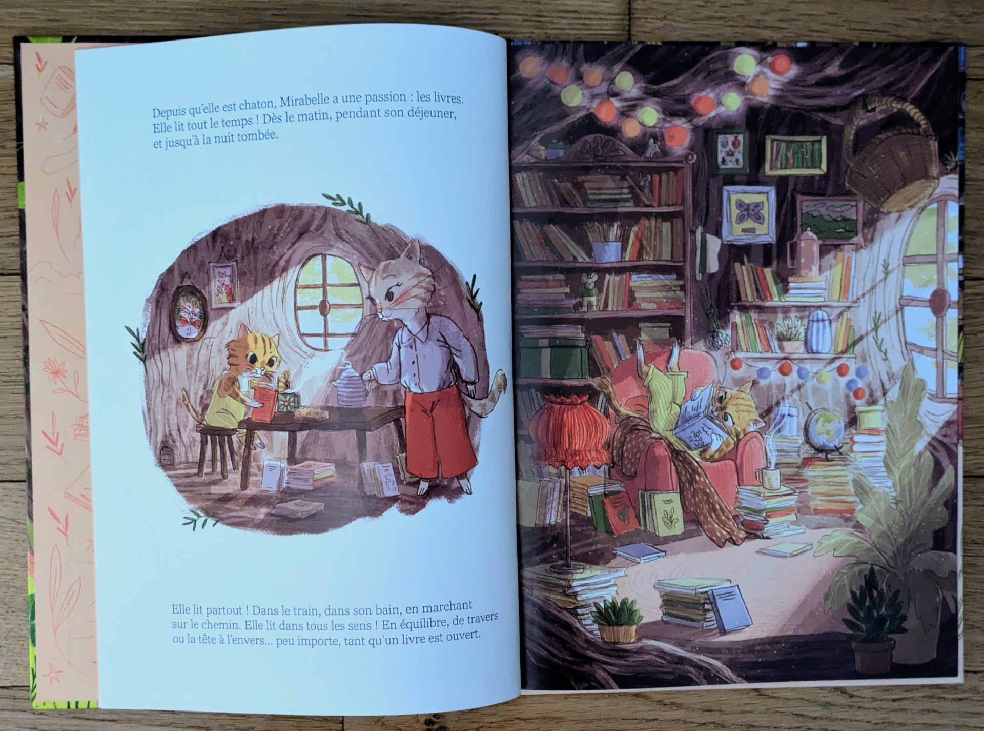 Des illustrations magnifiques