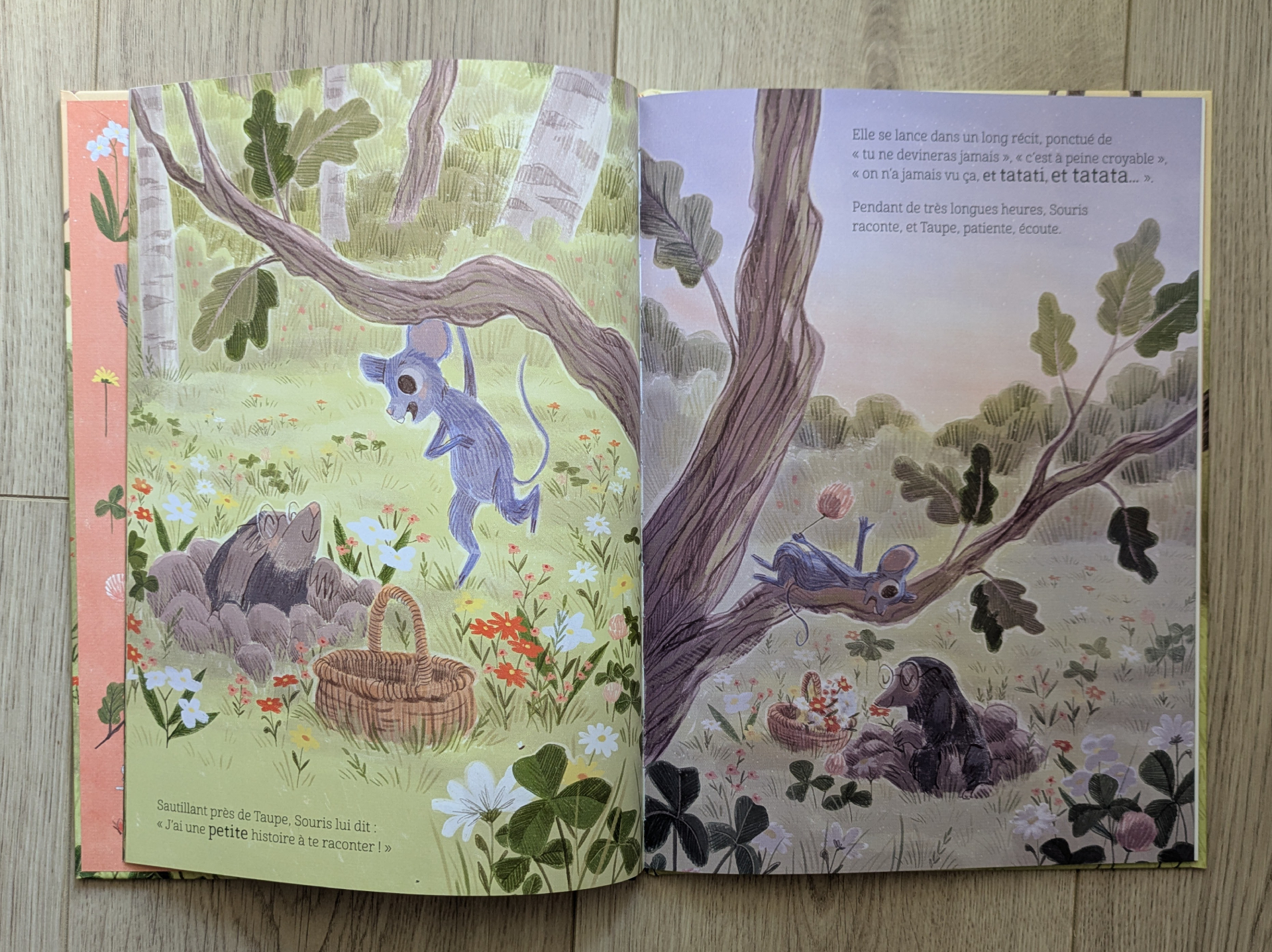 De très belles illustrations