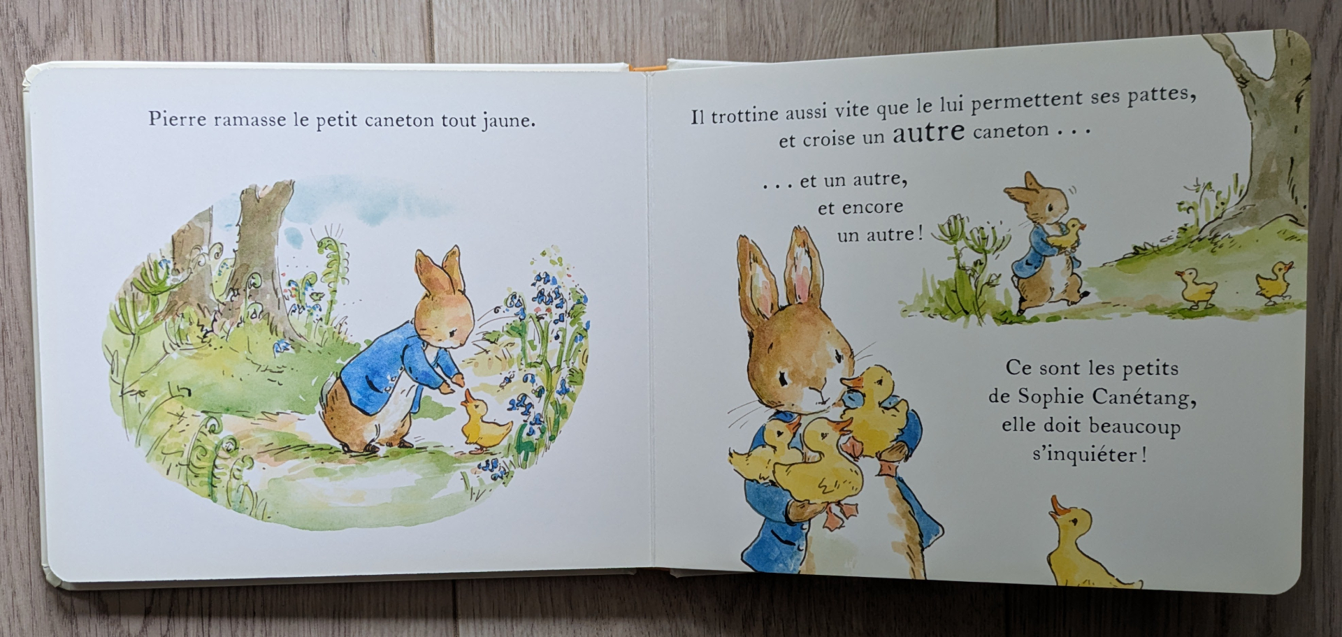 De très belles illustrations
