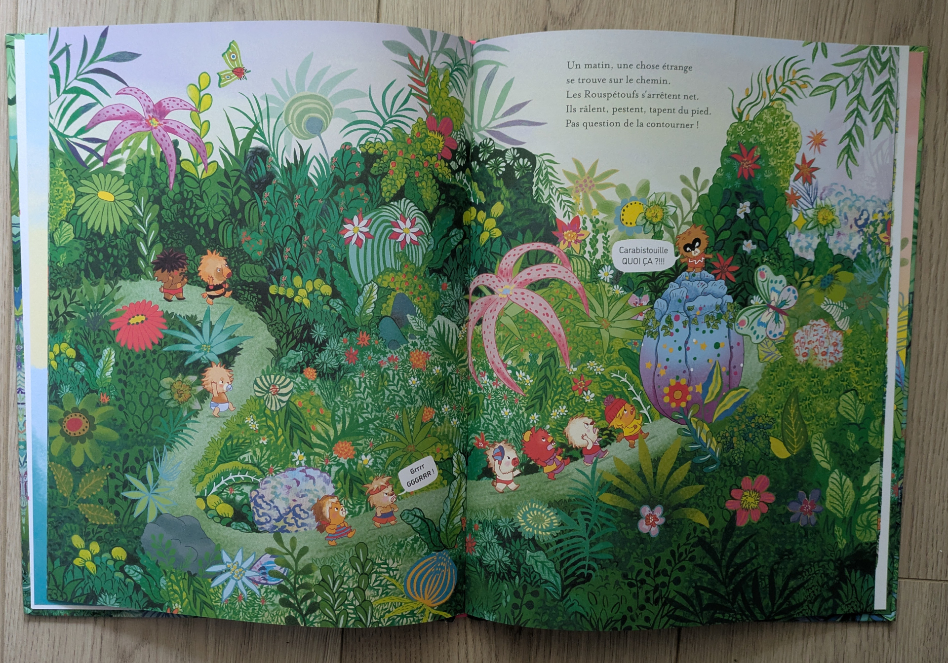 Des illustrations magnifiques