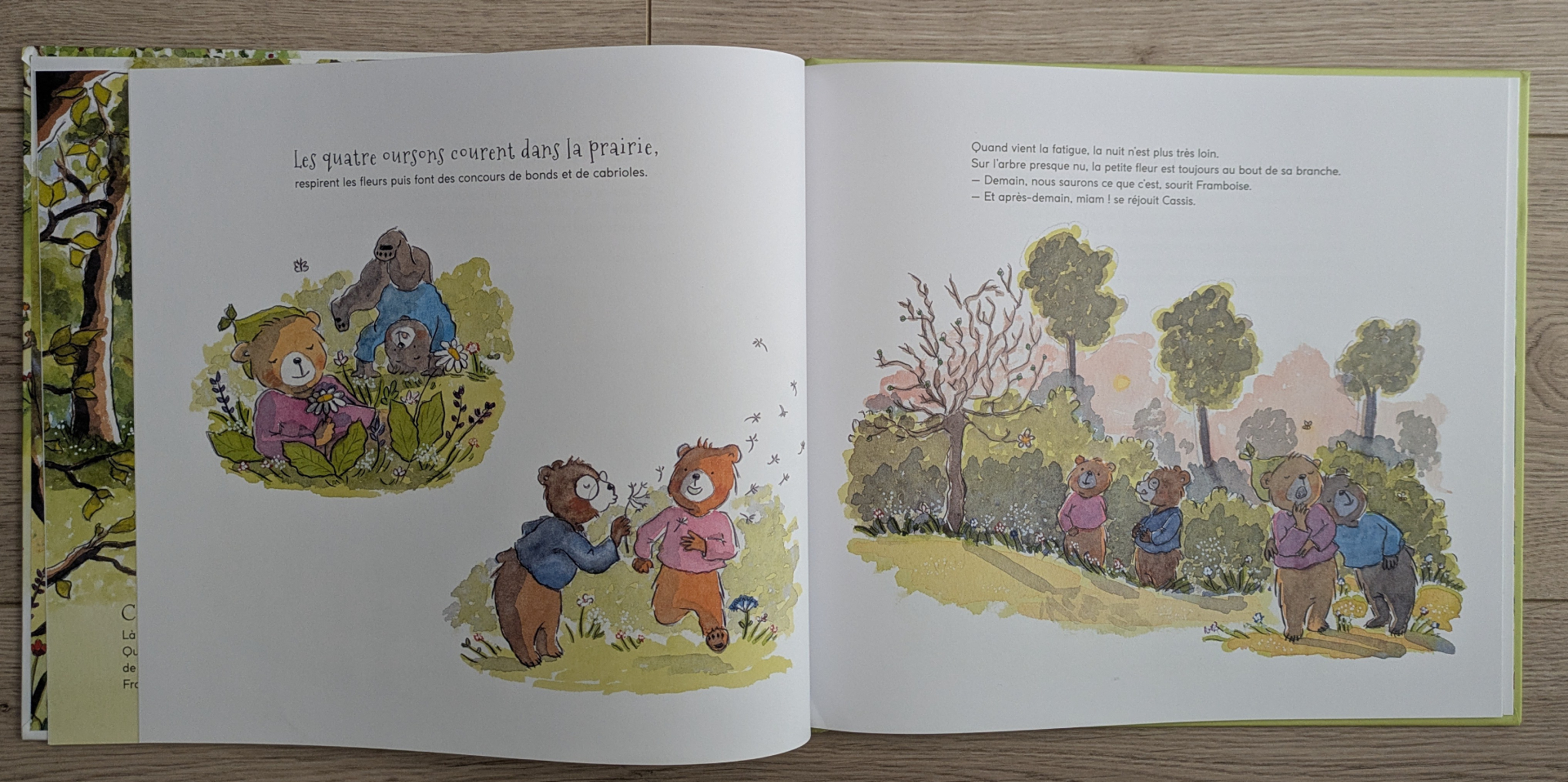 Des illustrations magnifiques