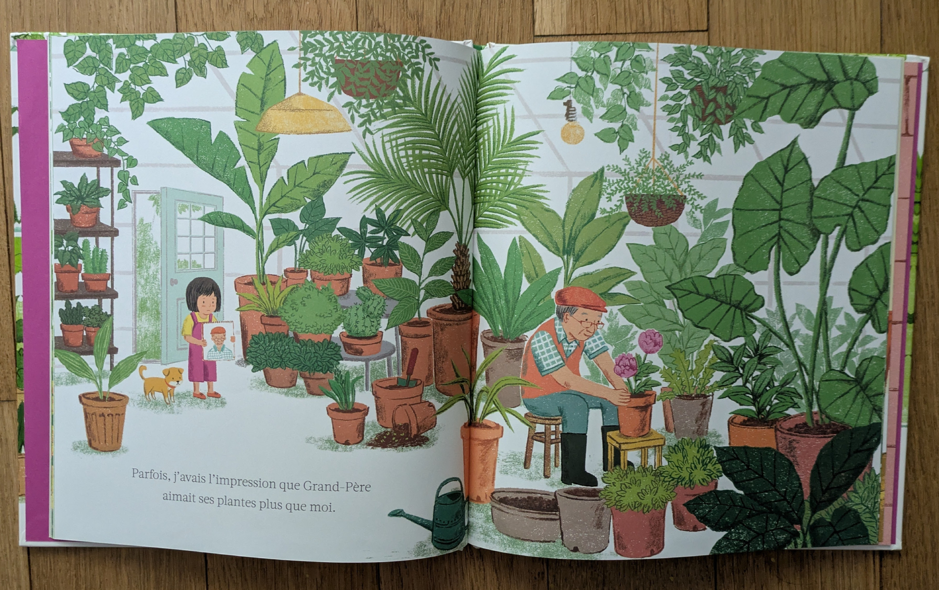 Des illustrations magnifiques