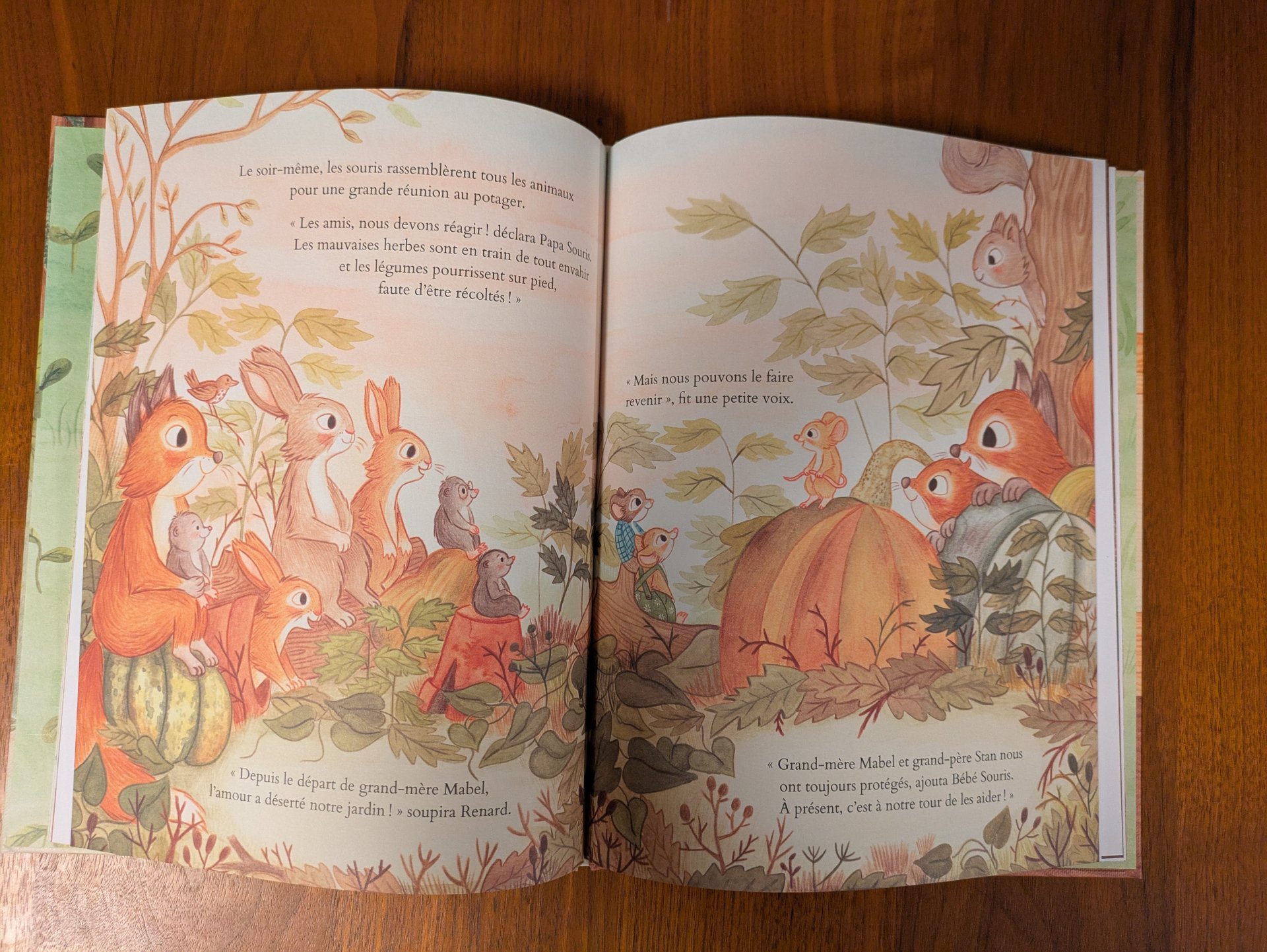 De très belles illustrations pleine
