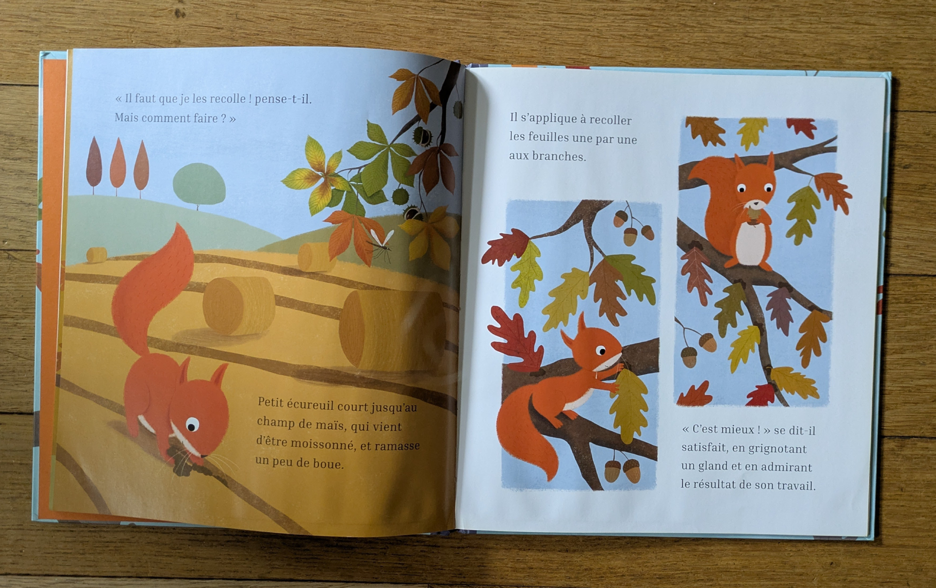 Des illustrations magnifiques