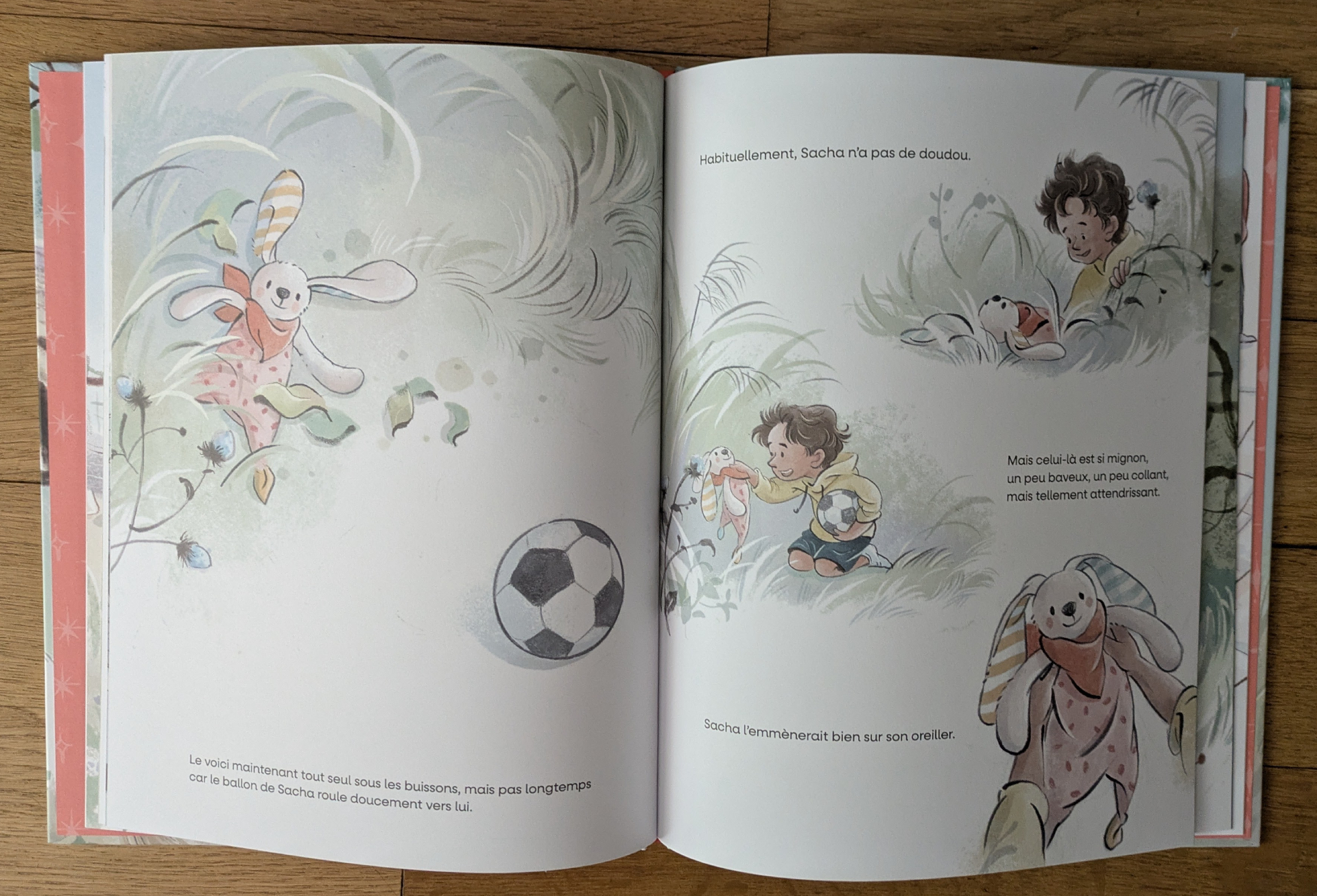 Des illustrations magnifiques