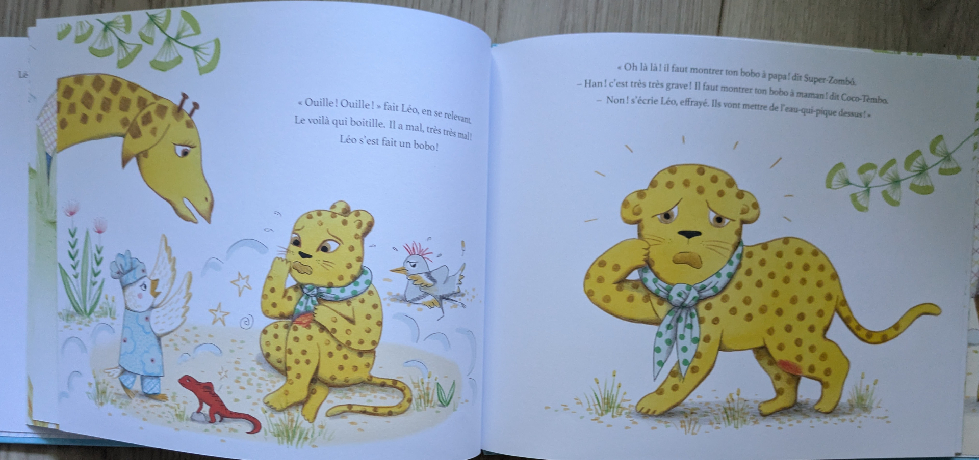 Des illustrations magnifiques