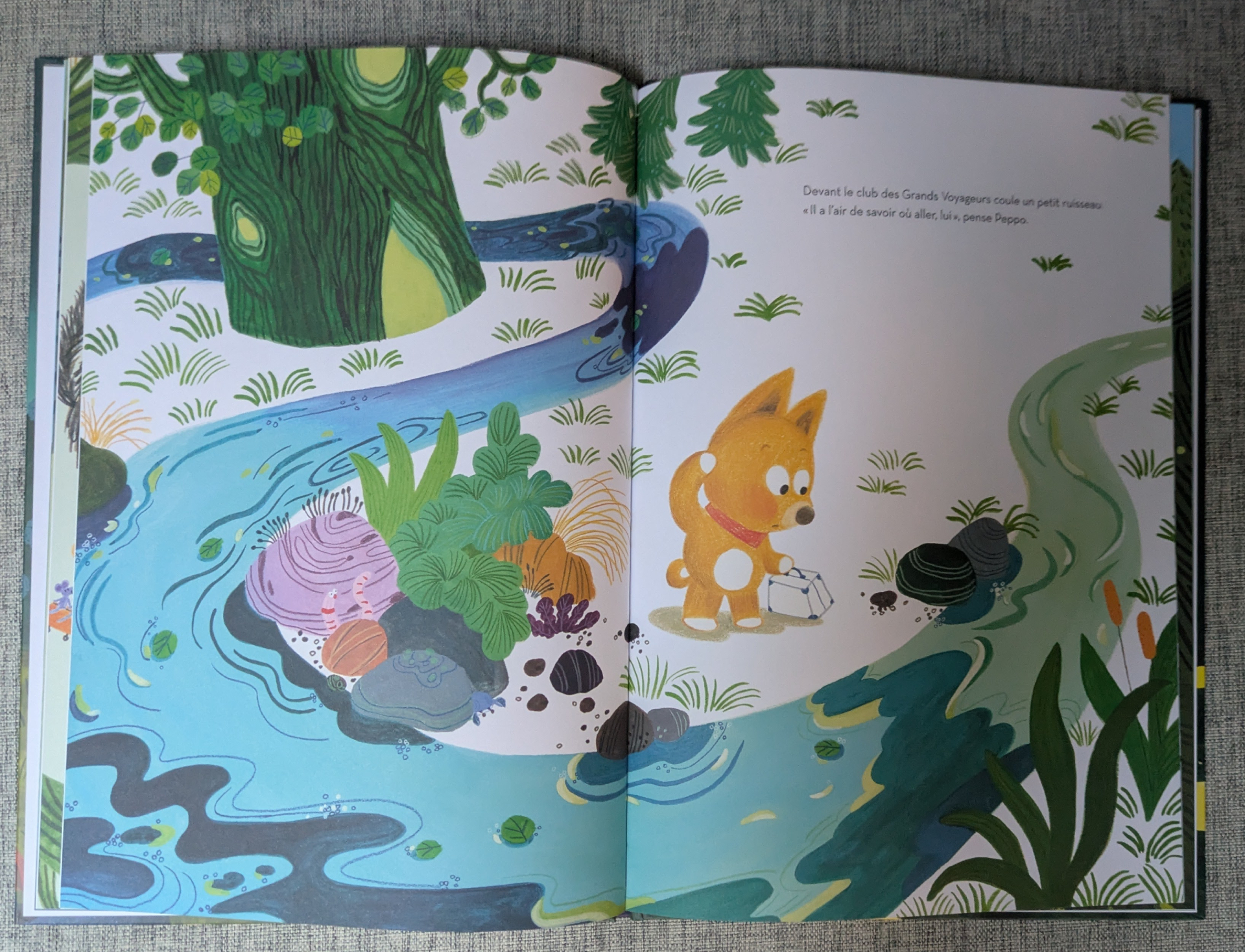 Des illustrations magnifiques