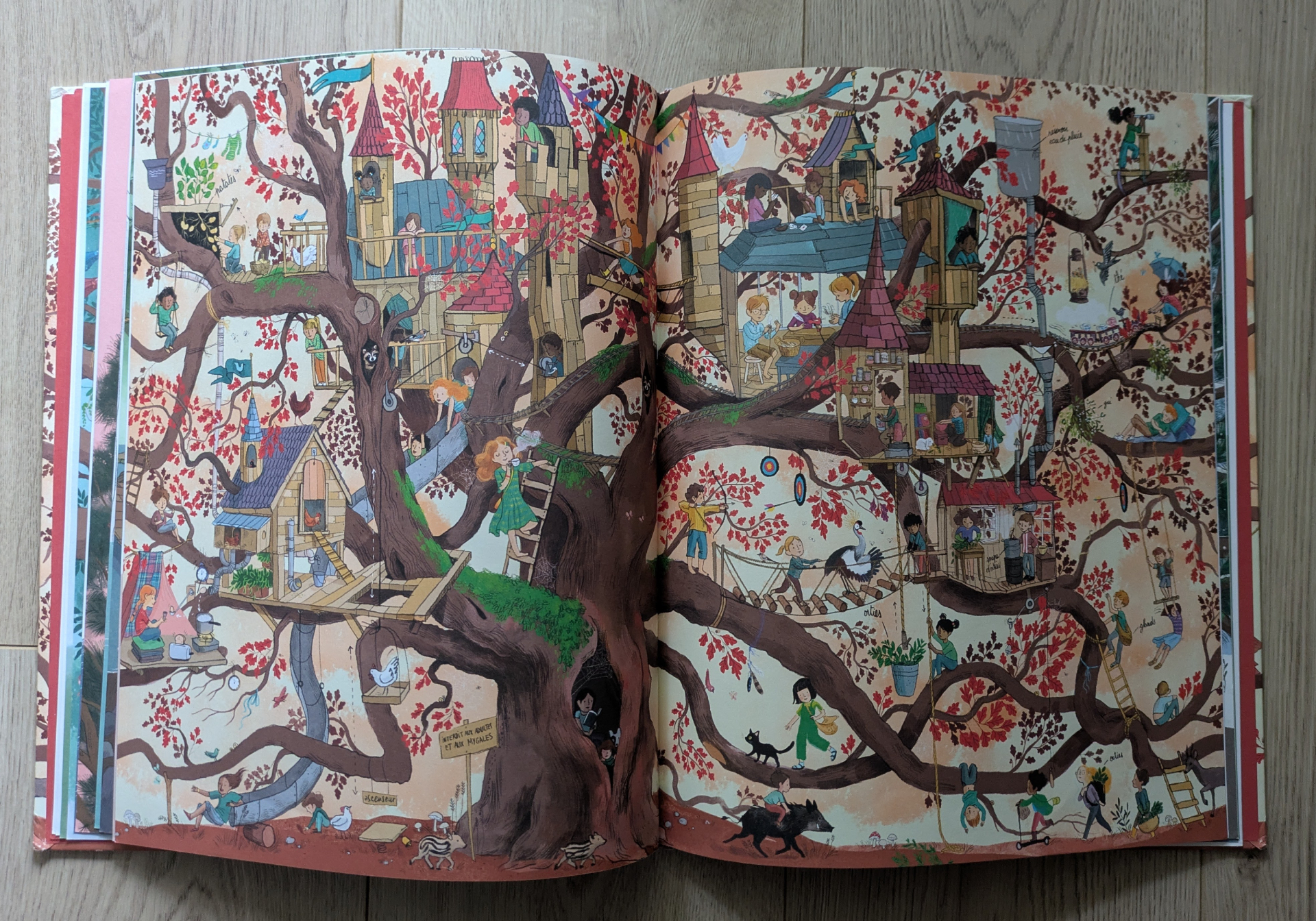 Des illustrations magnifiques