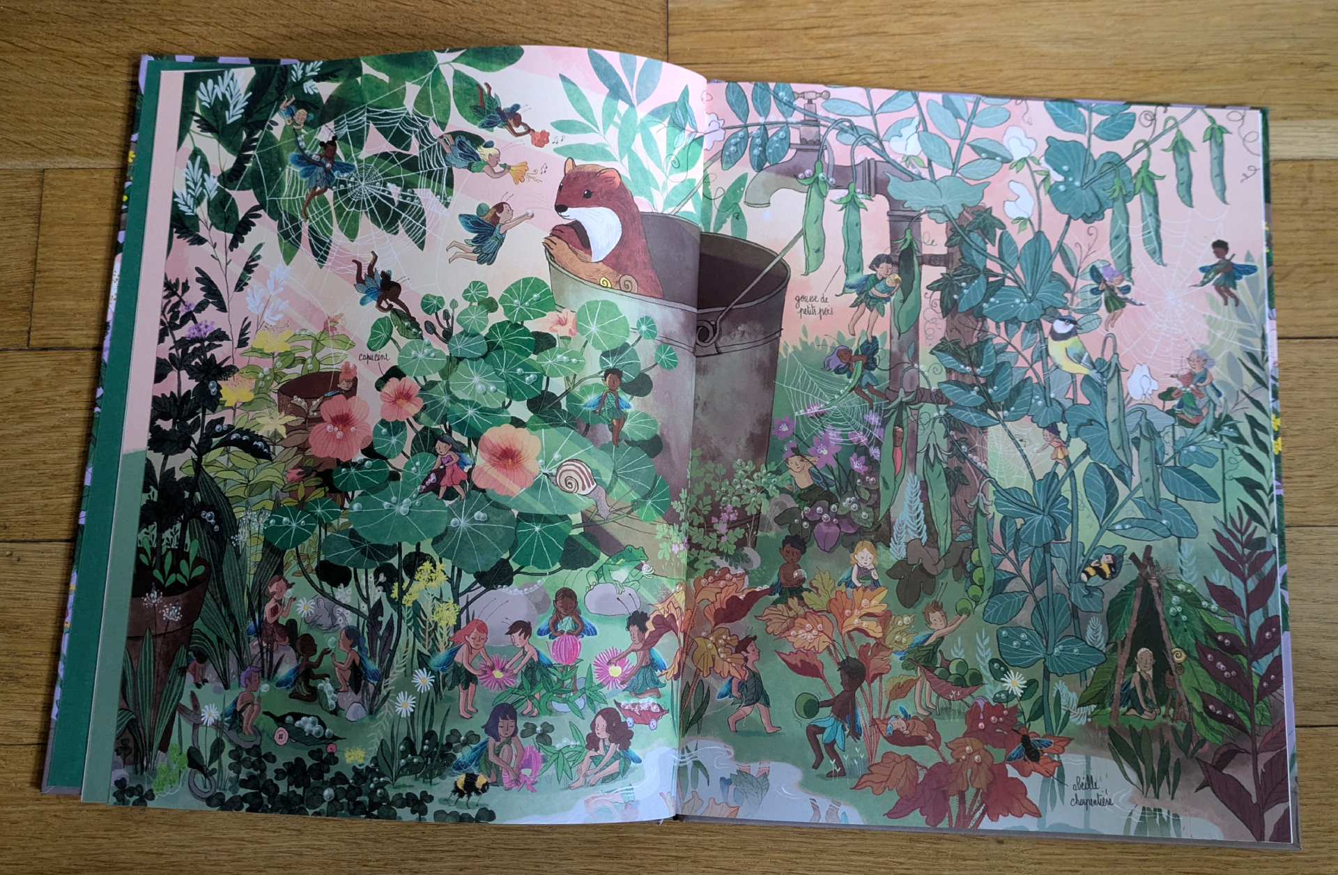 Des illustrations magnifiques
