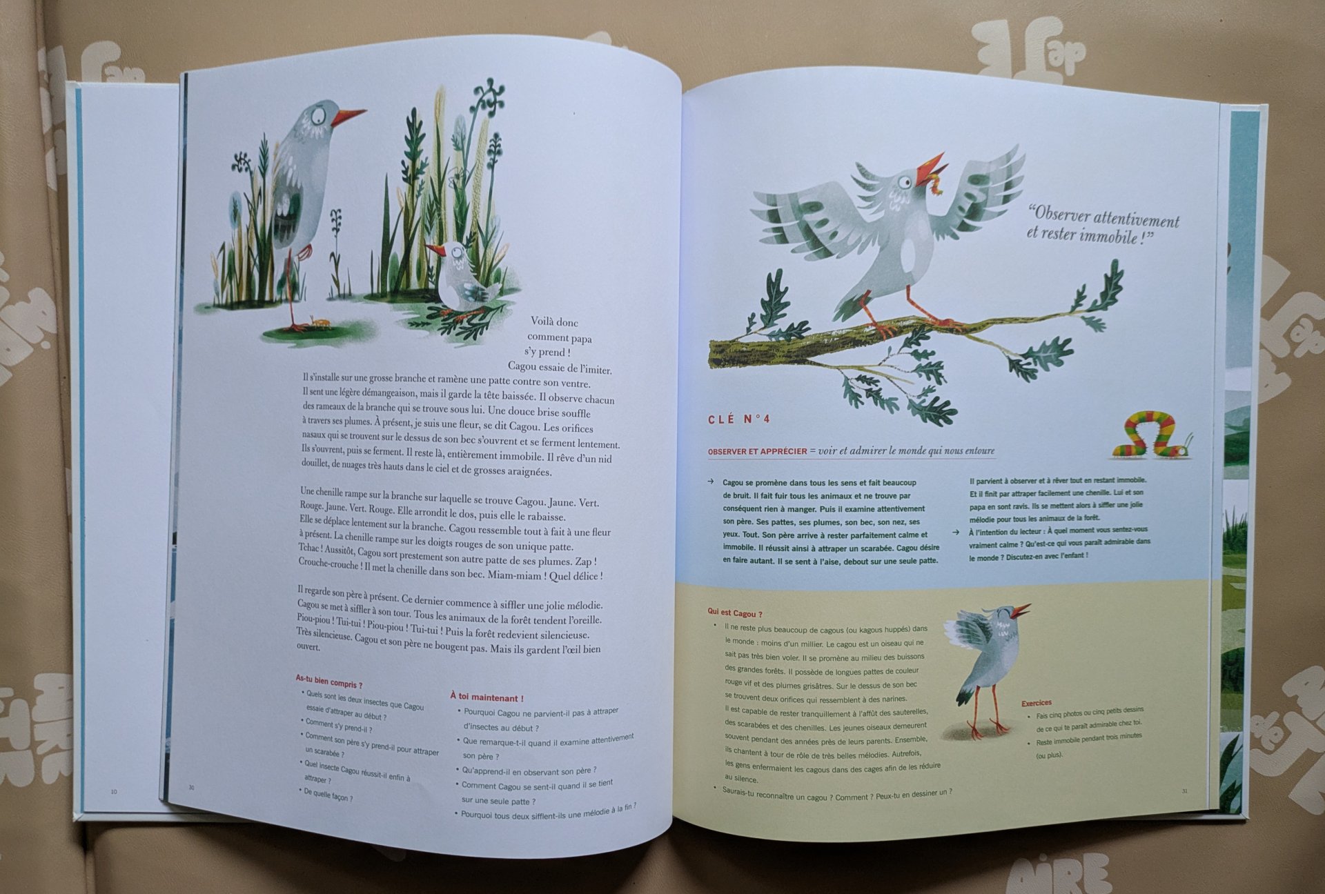 De jolies illustrations