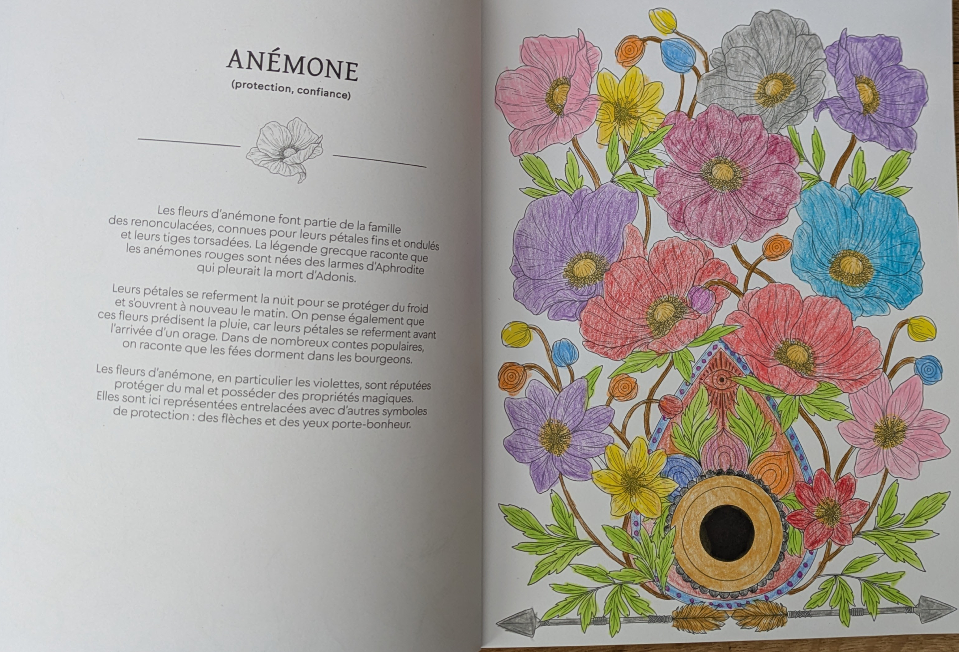 Des illustrations magnifiques