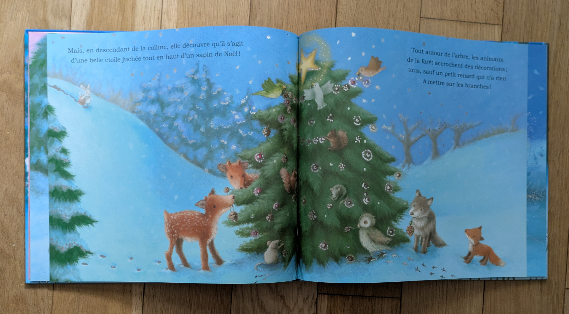 Des illustrations magnifiques qui brillent argenté