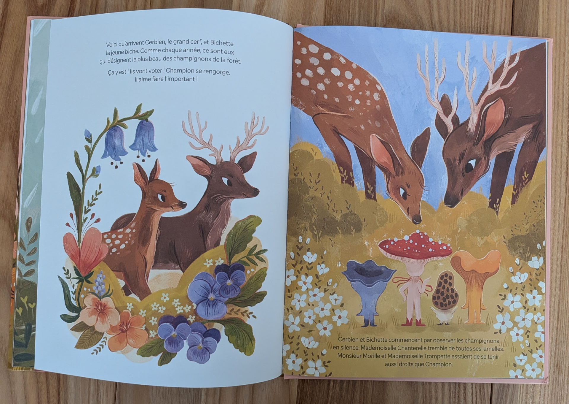 De très belles illustrations