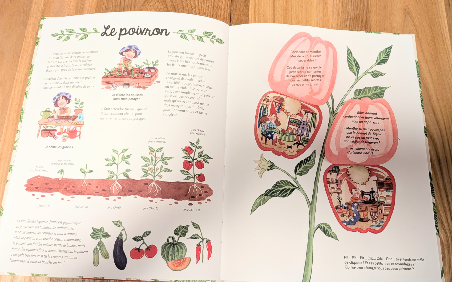 Des illustrations magnifiques