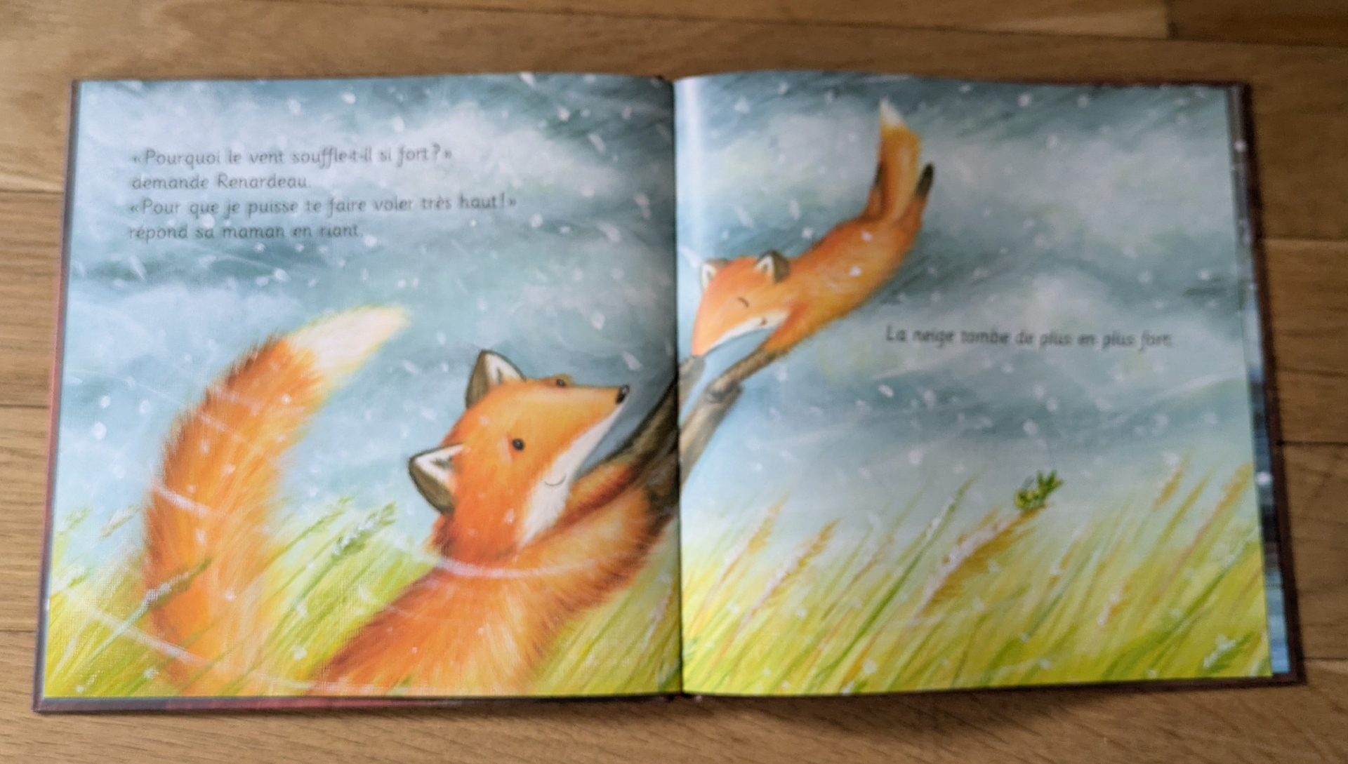 Des illustrations magnifiques