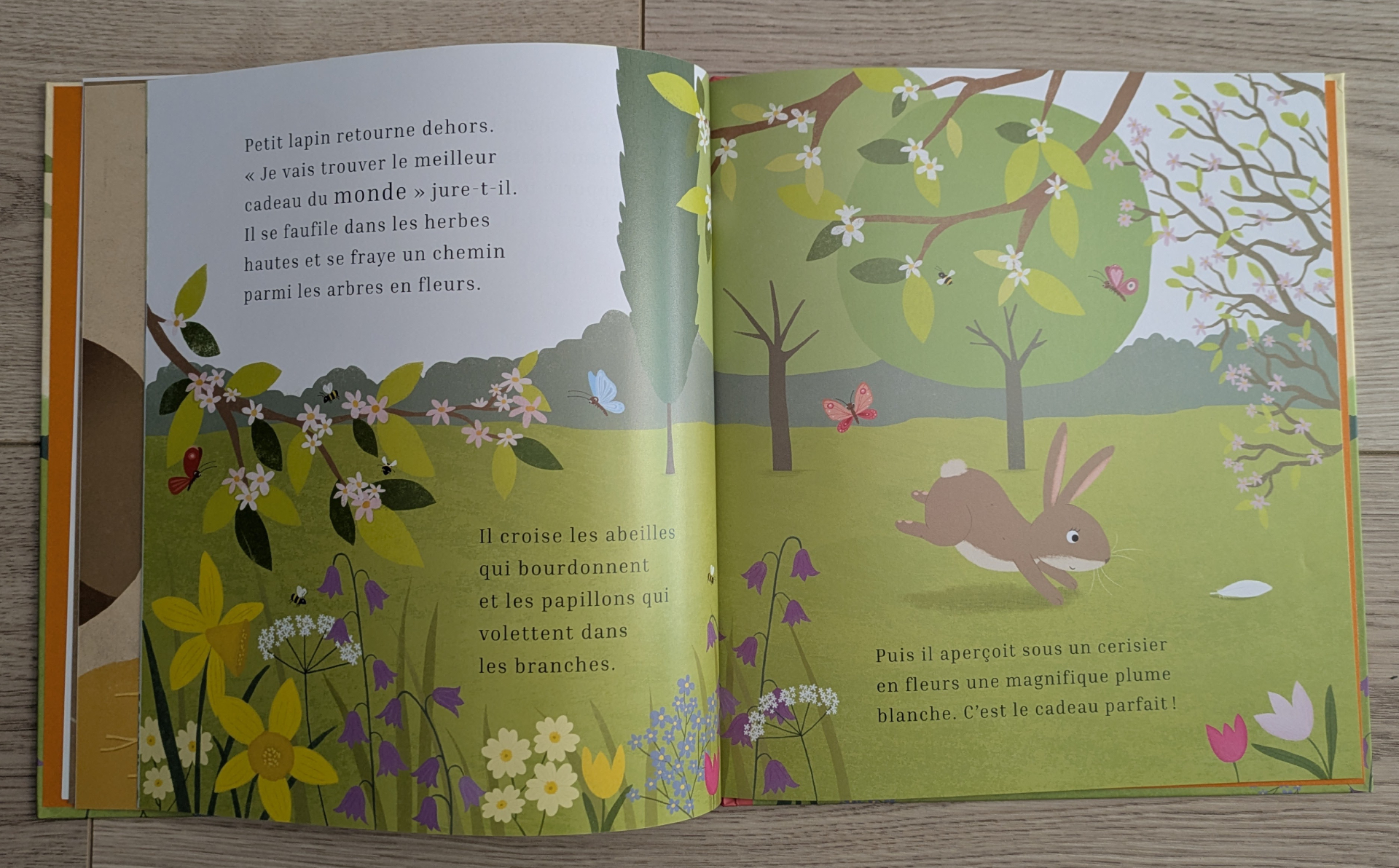 Des illustrations magnifiques