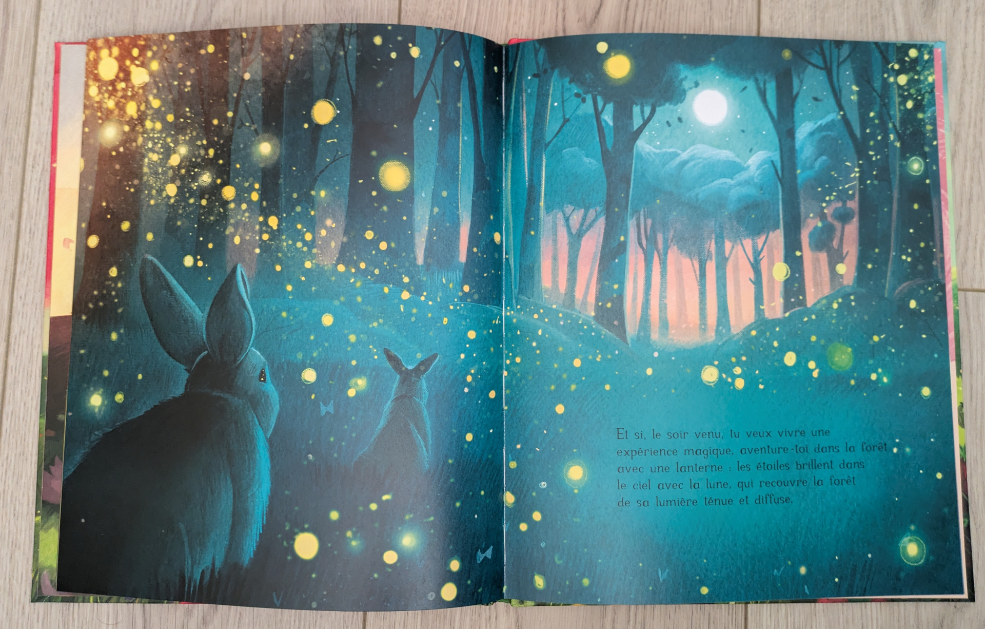 Des illustrations magnifiques