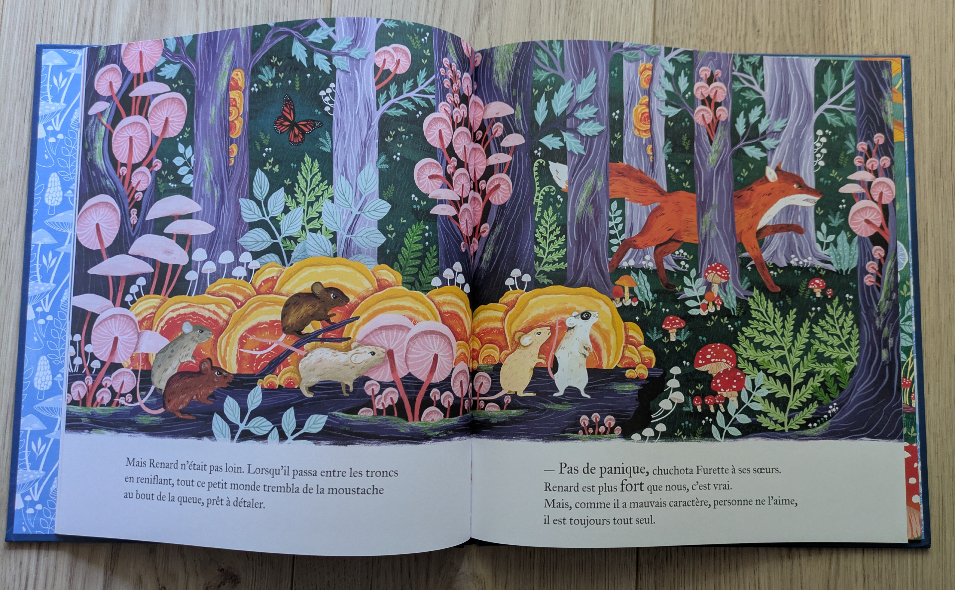Des illustrations magnifiques