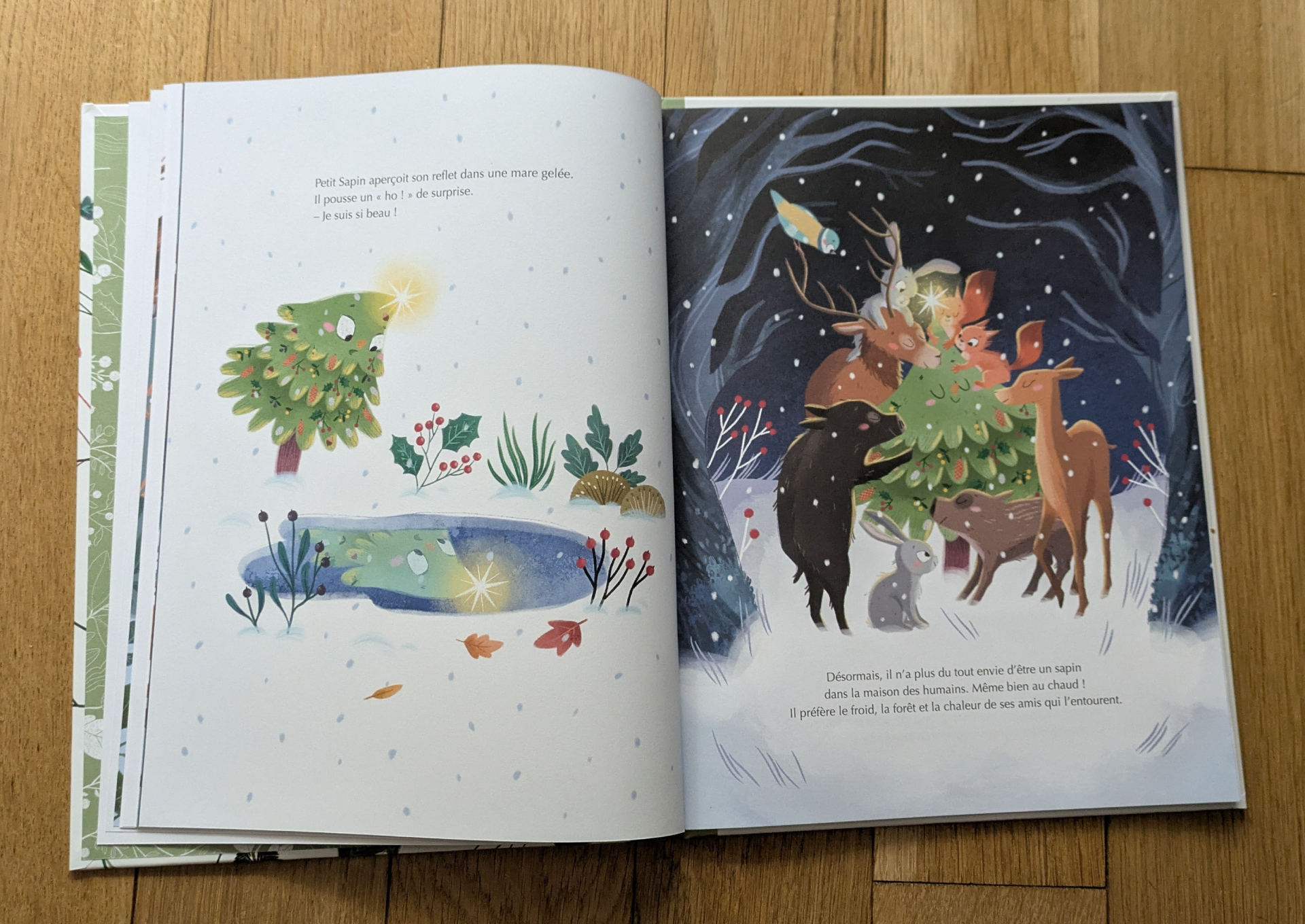 Des illustrations magnifiques