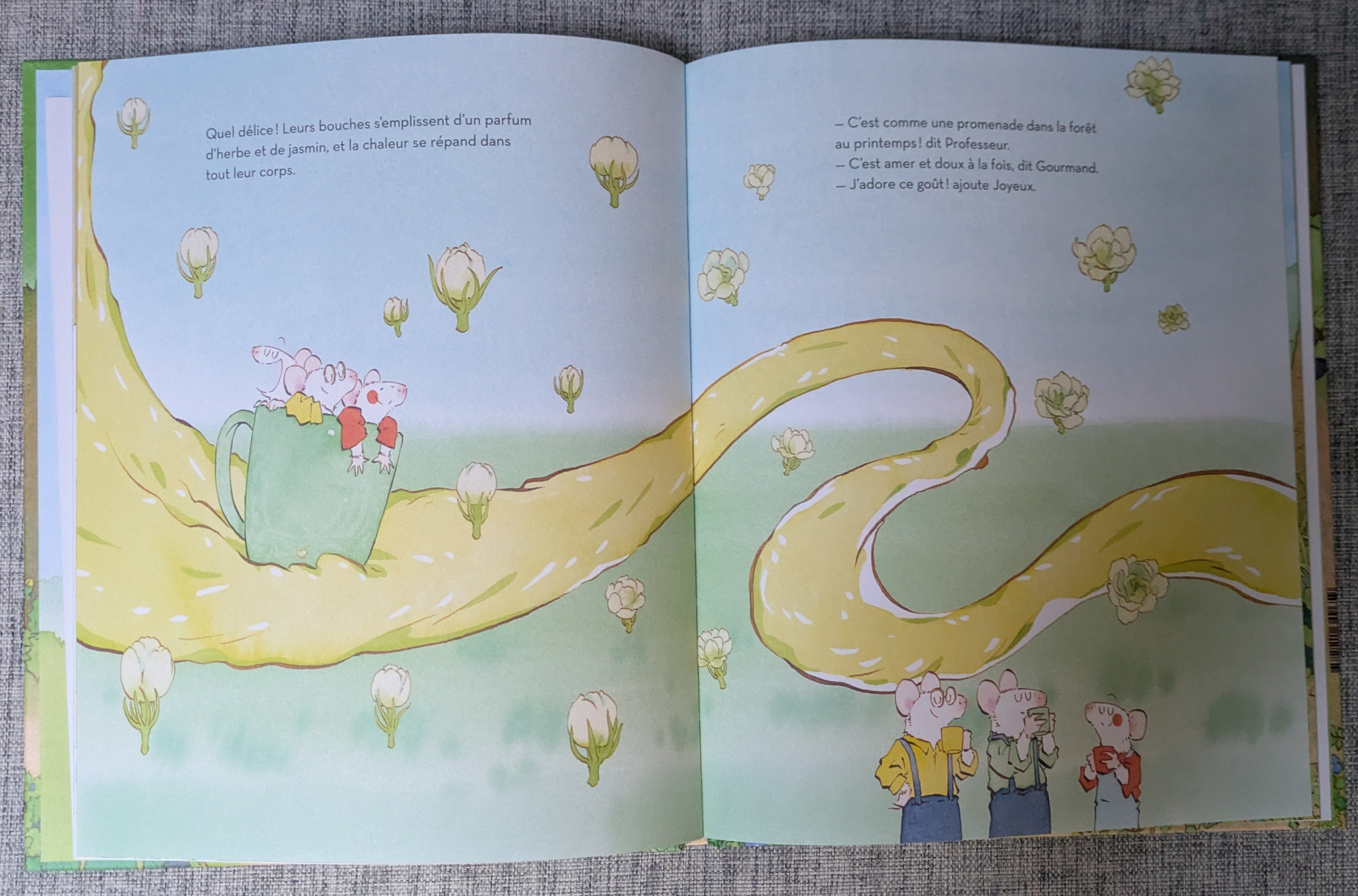 Des illustrations magnifiques