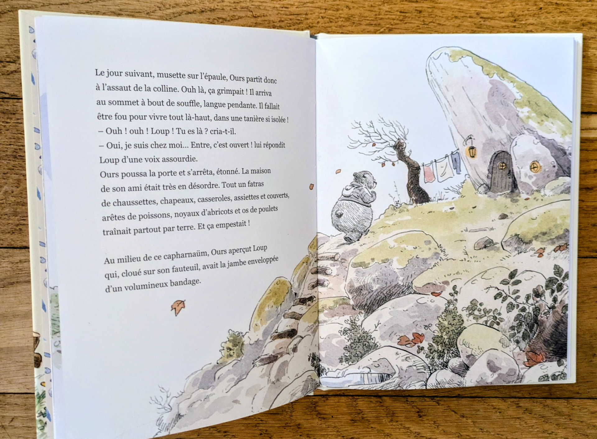 Des illustrations magnifiques