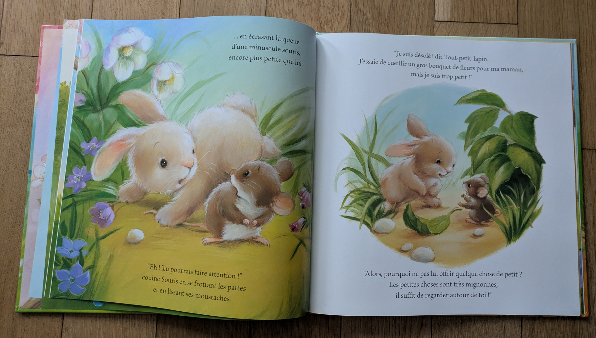 Des illustrations magnifiques