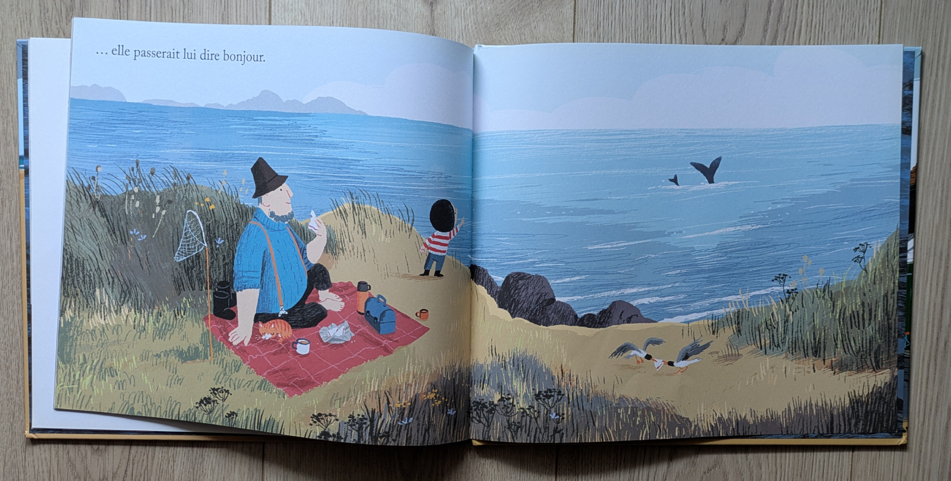 Des illustrations magnifiques