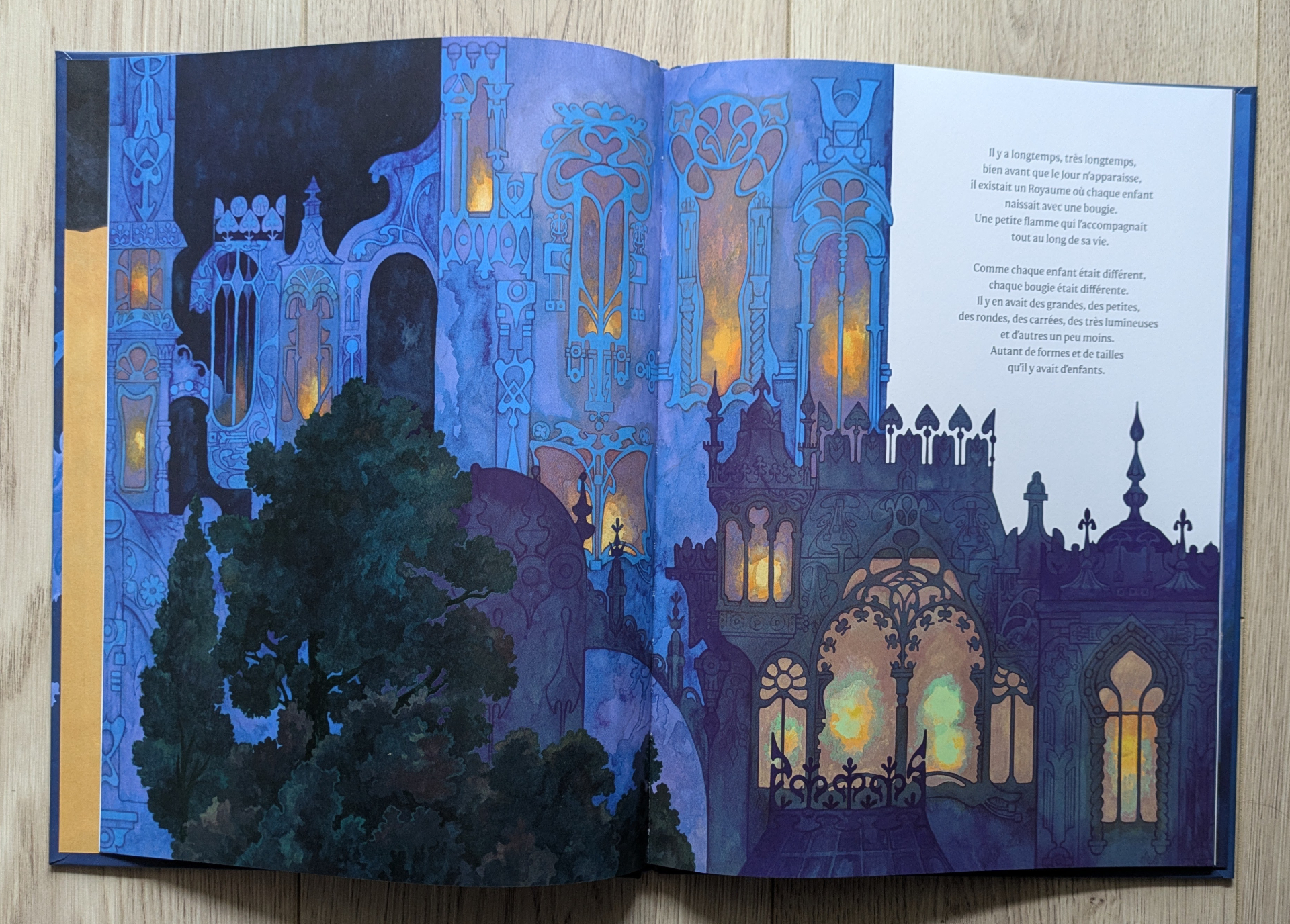 Des illustrations magnifiques