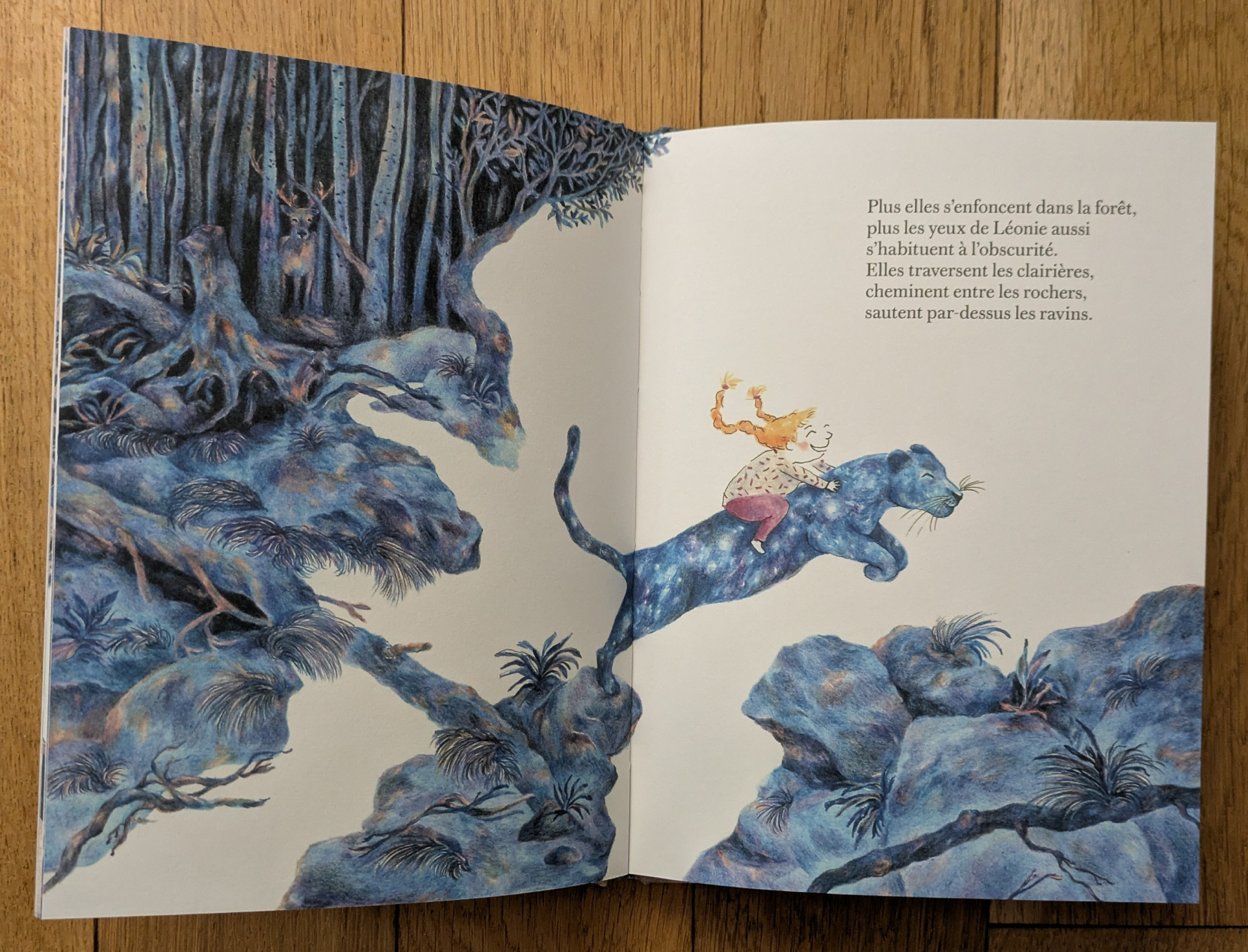 Des illustrations magnifiques