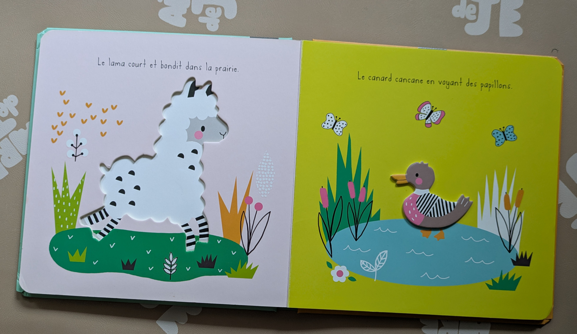 Des illustrations colorées