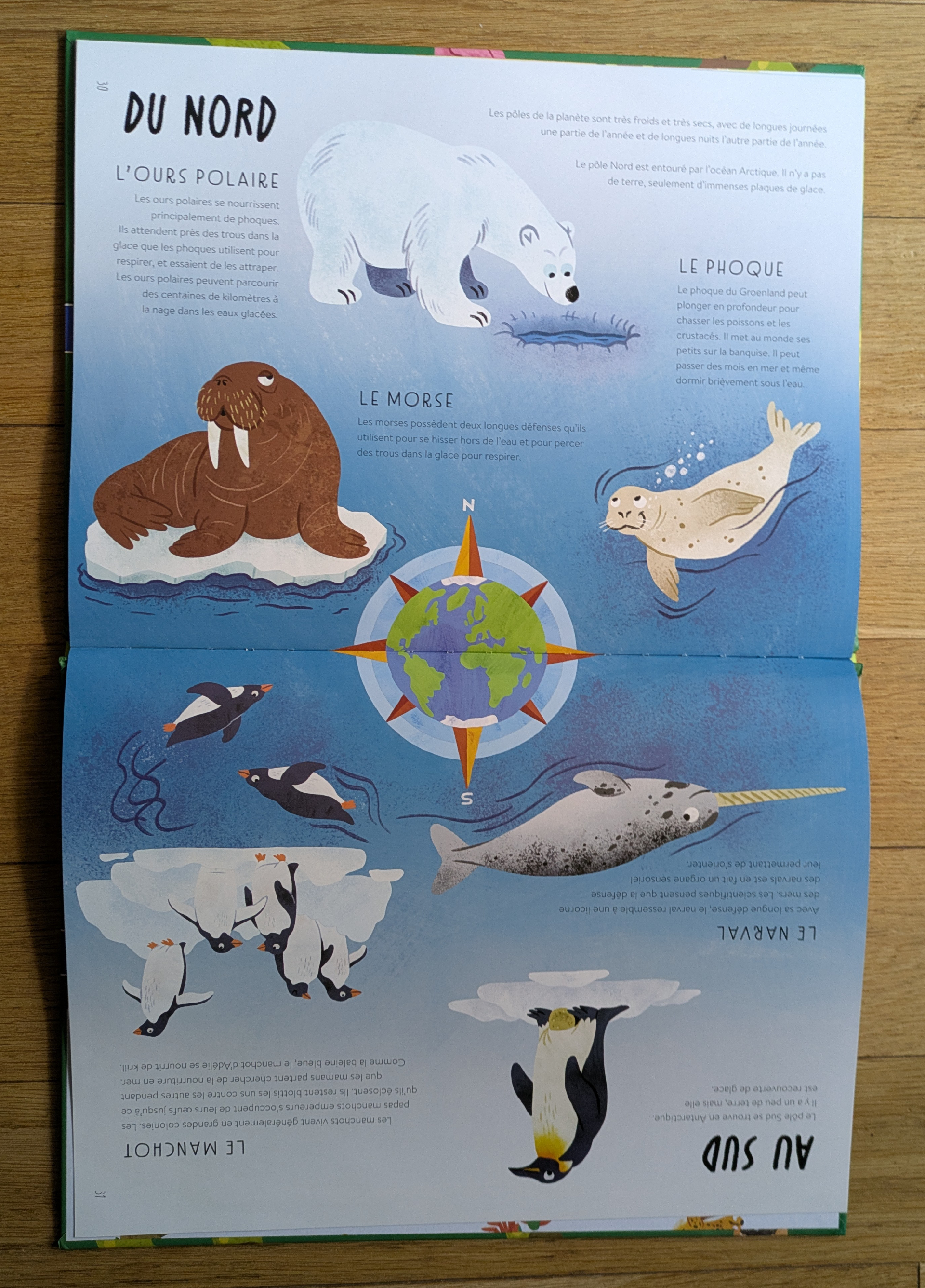 De très belles illustrations