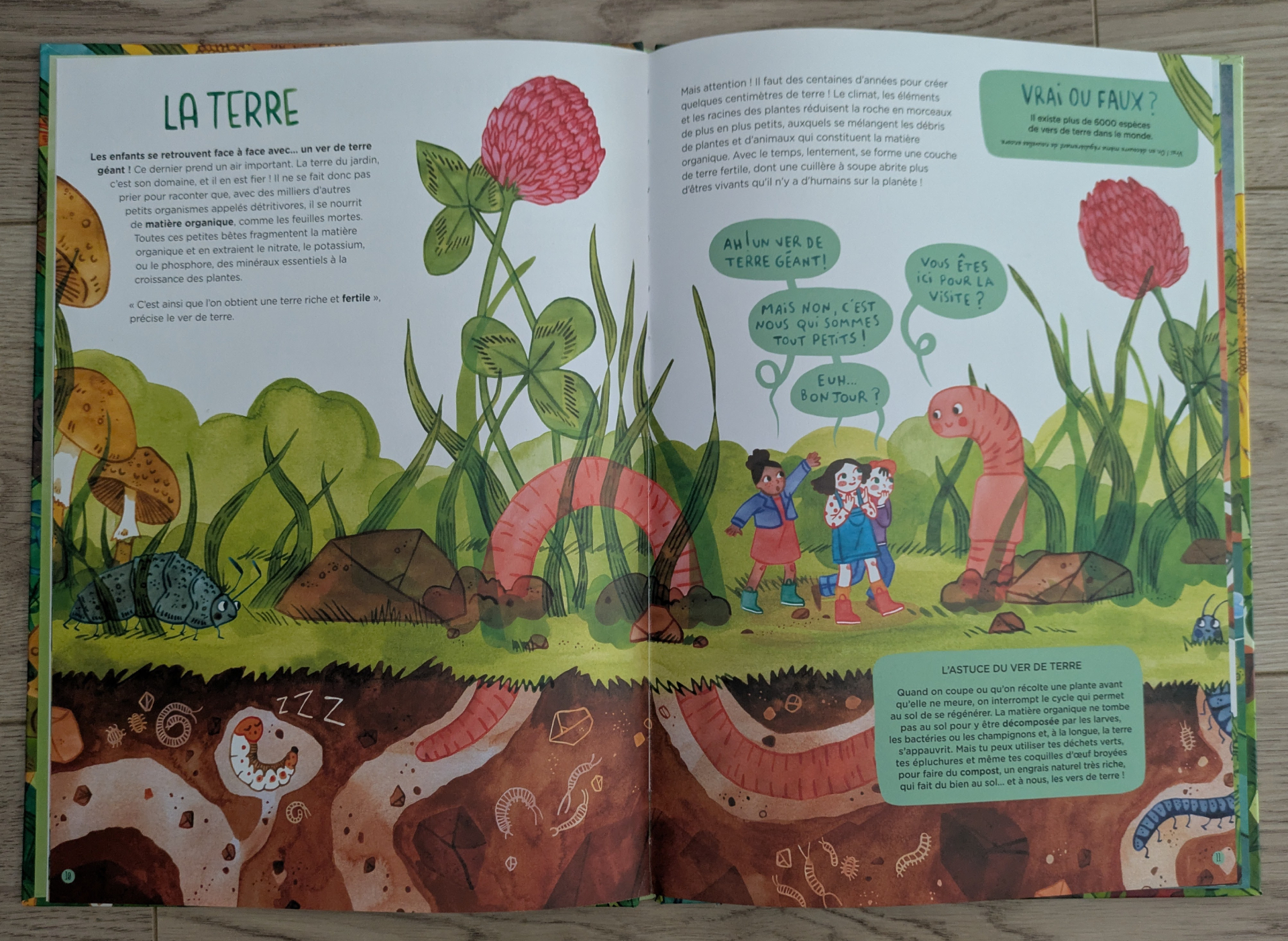 De très belles illustrations