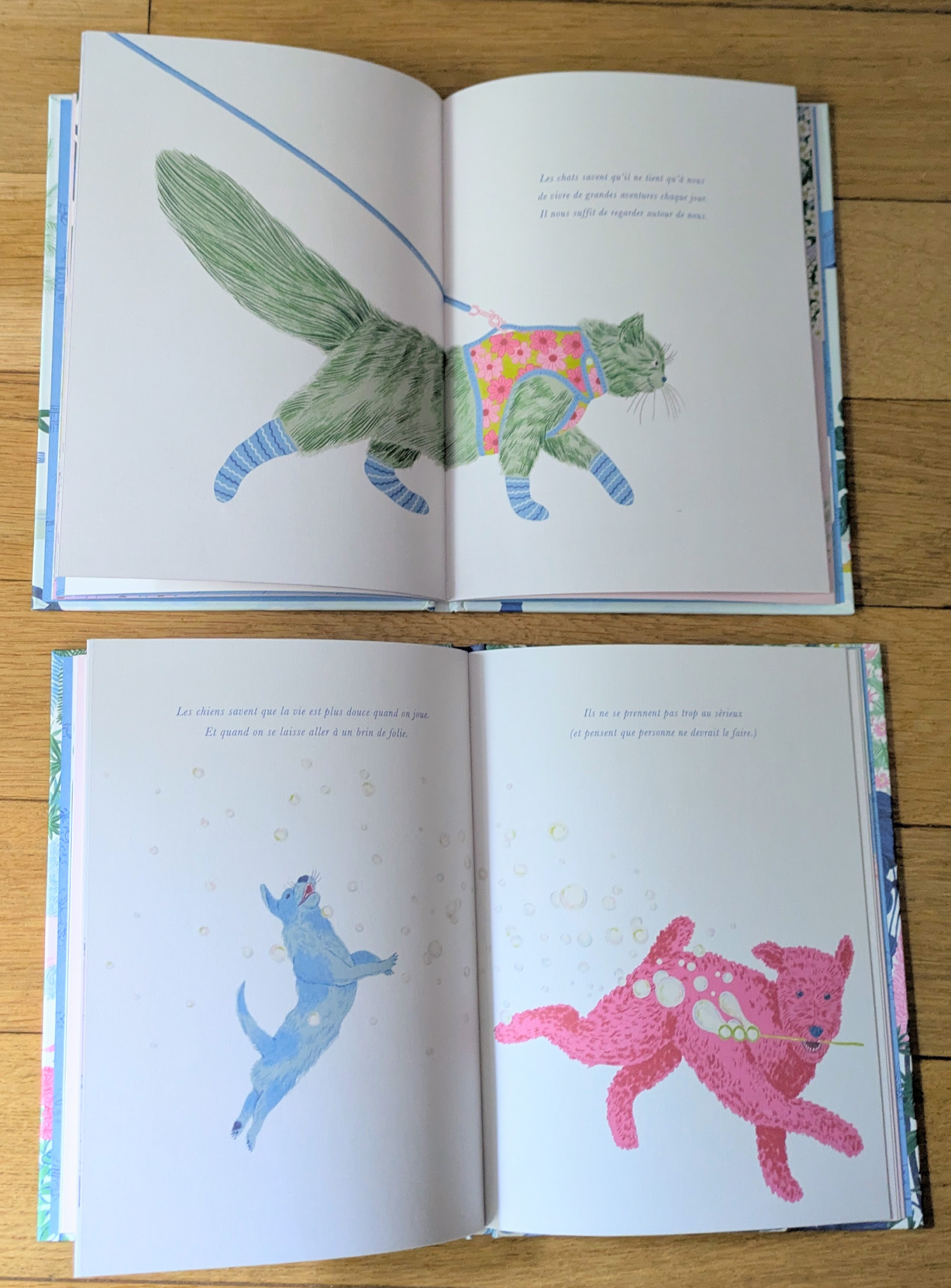 De très belles illustrations