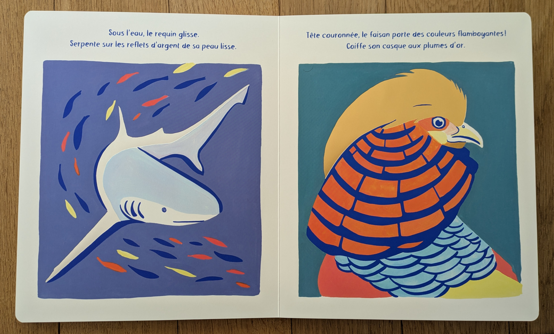 Des illustrations magnifiques